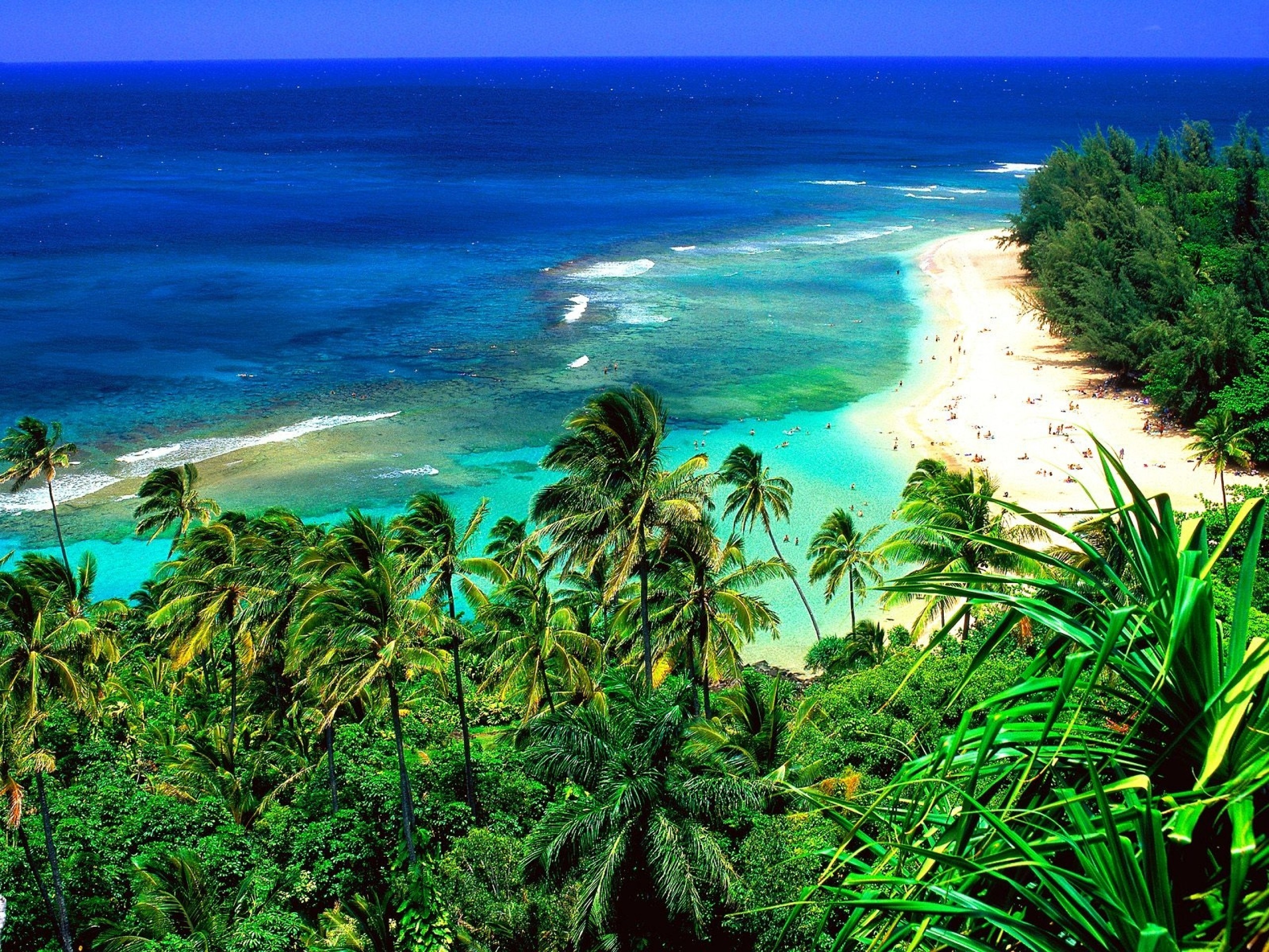 General 2560x1920 sea beach tropical palm trees landscape aerial view