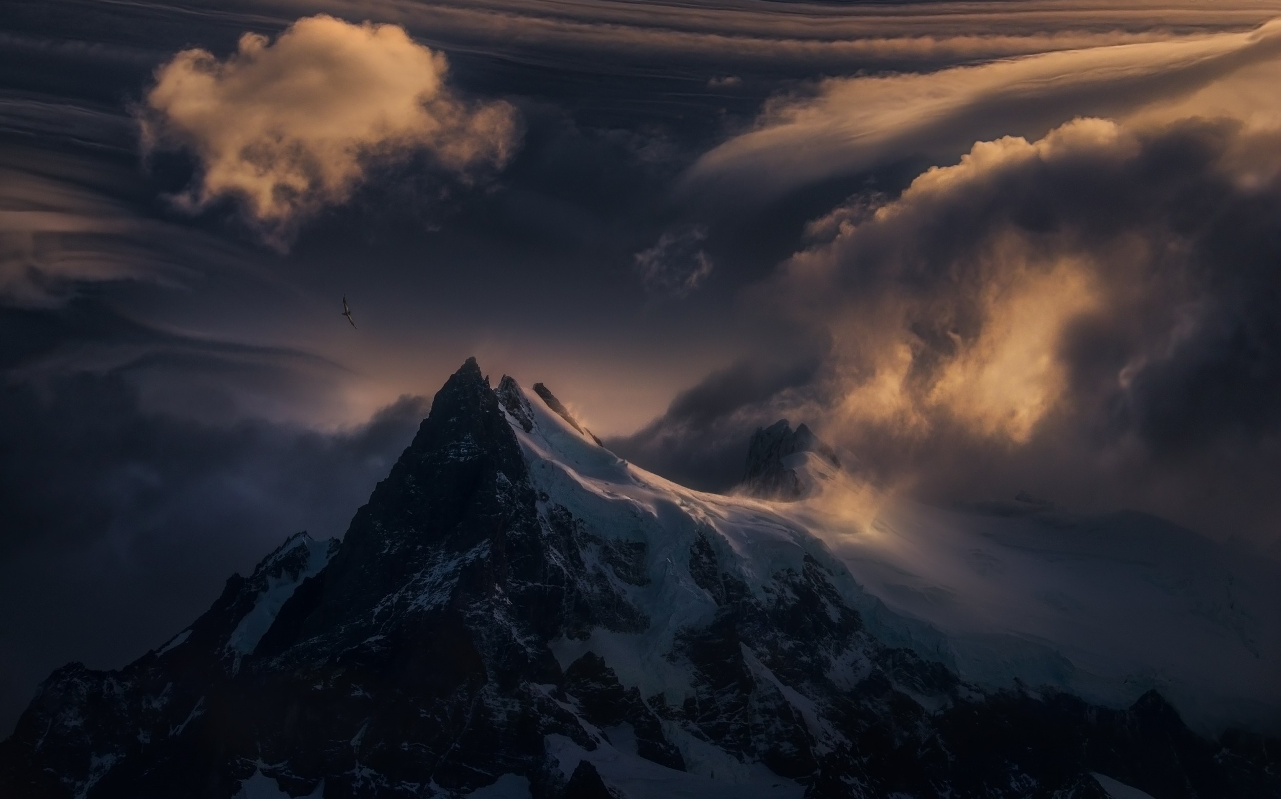 General 2500x1560 condors birds flying mountains clouds sunlight snowy peak nature landscape