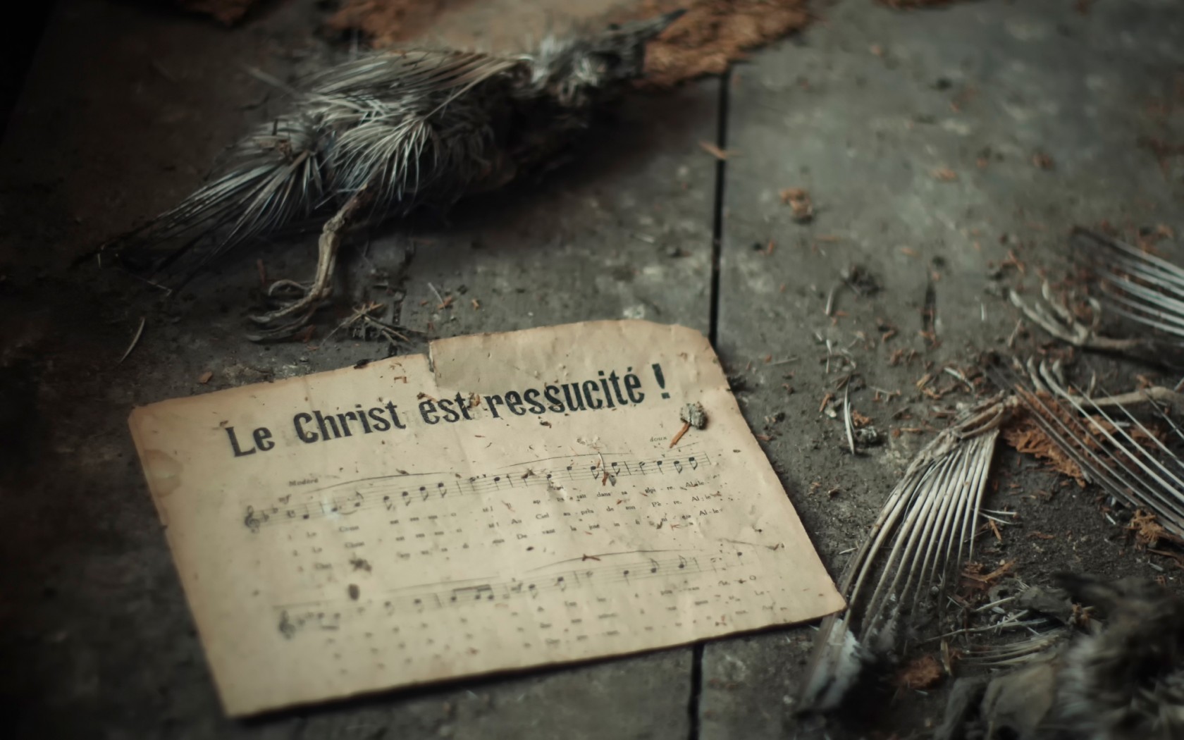 General 1680x1050 musical notes creepy death music birds animals