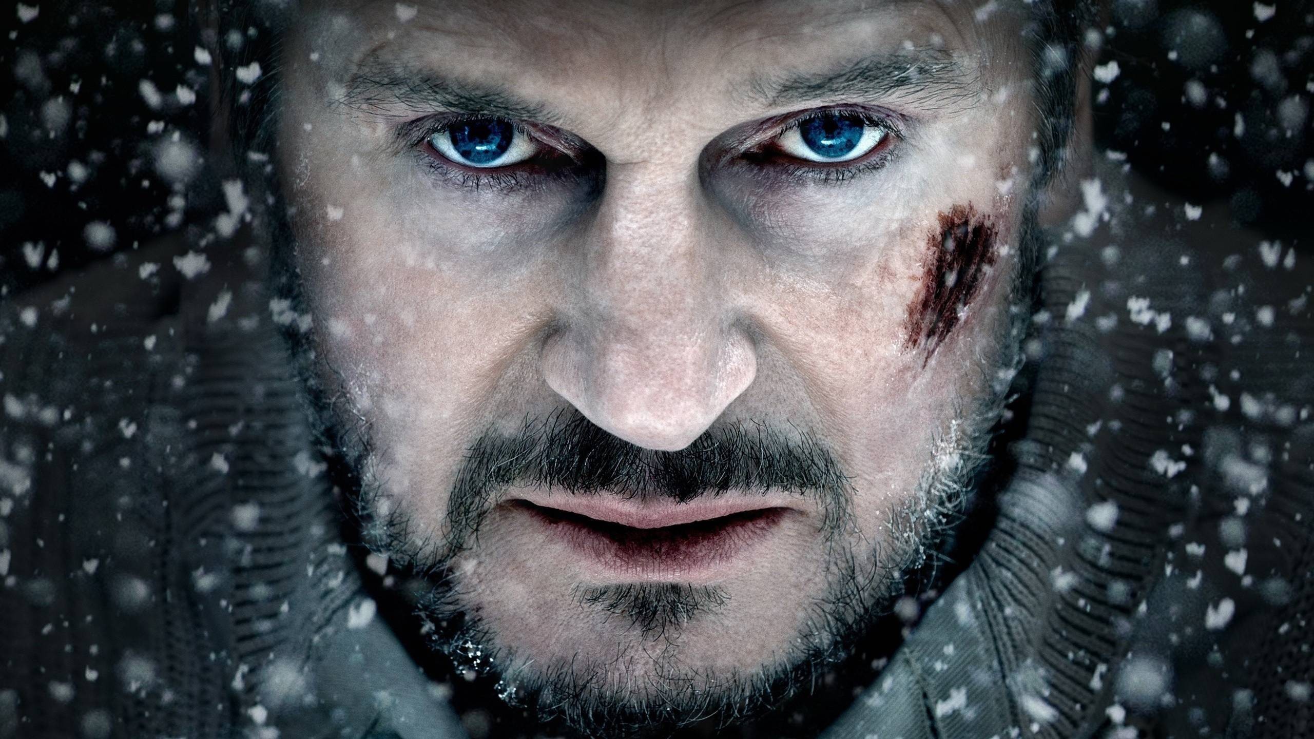 People 2560x1440 Liam Neeson snow movies blue eyes beard moustache blood men face actor wounds closeup
