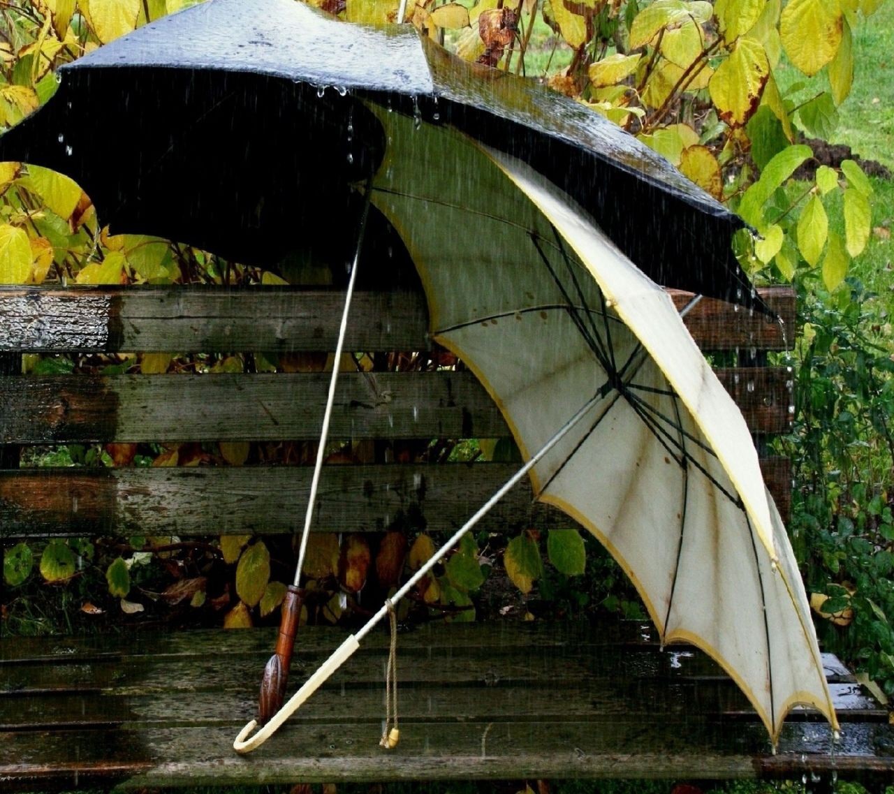 General 1280x1137 outdoors rain bench umbrella