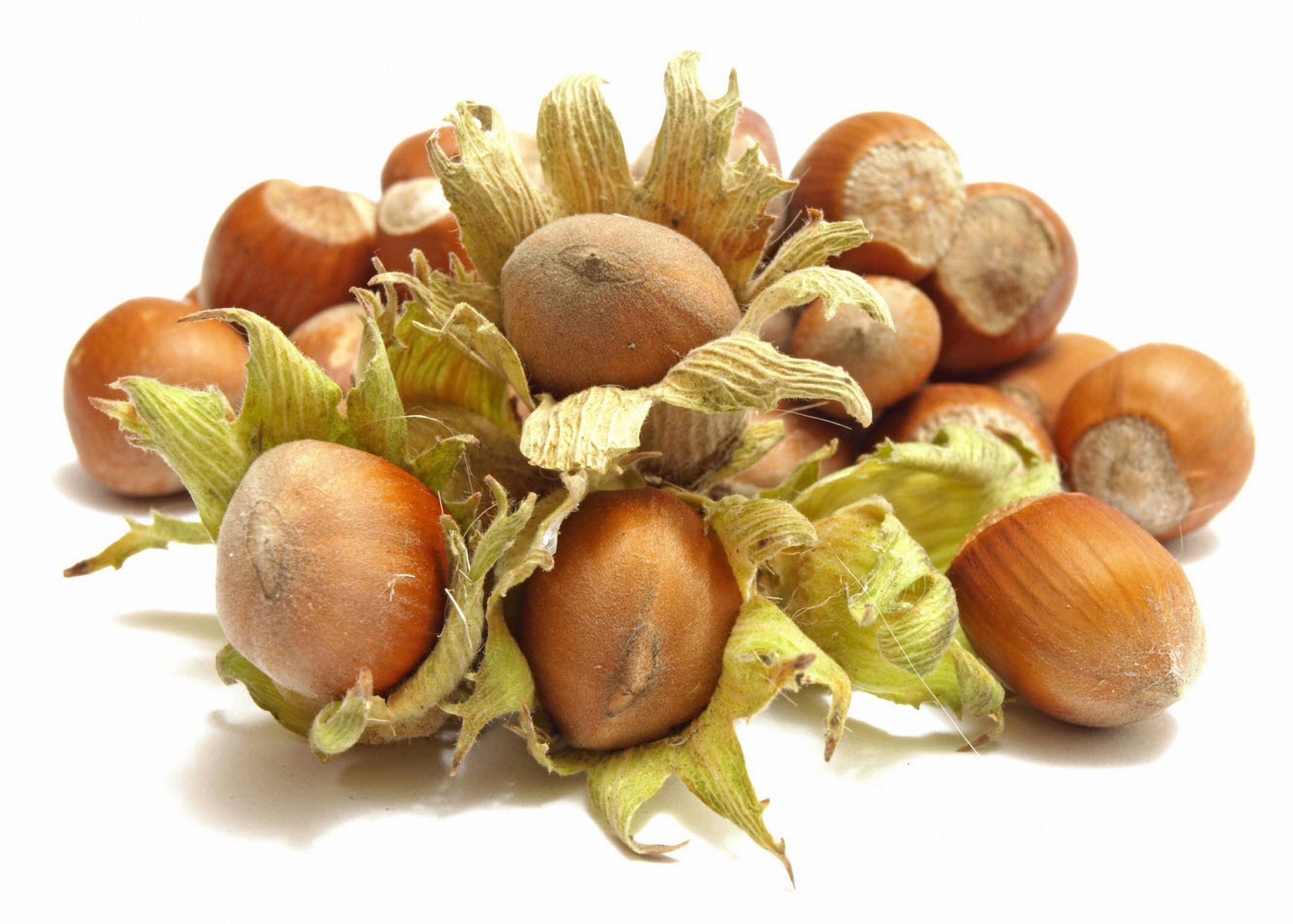 General 2200x1573 food nuts simple background seeds white background
