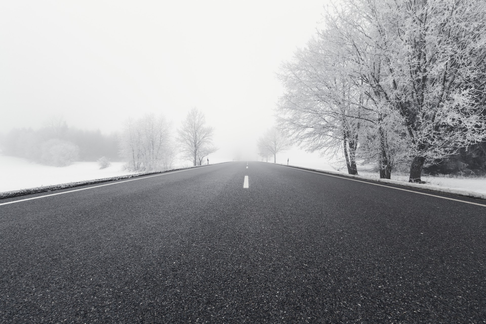 General 1920x1280 snow road trees winter mist frost asphalt long road outdoors monochrome