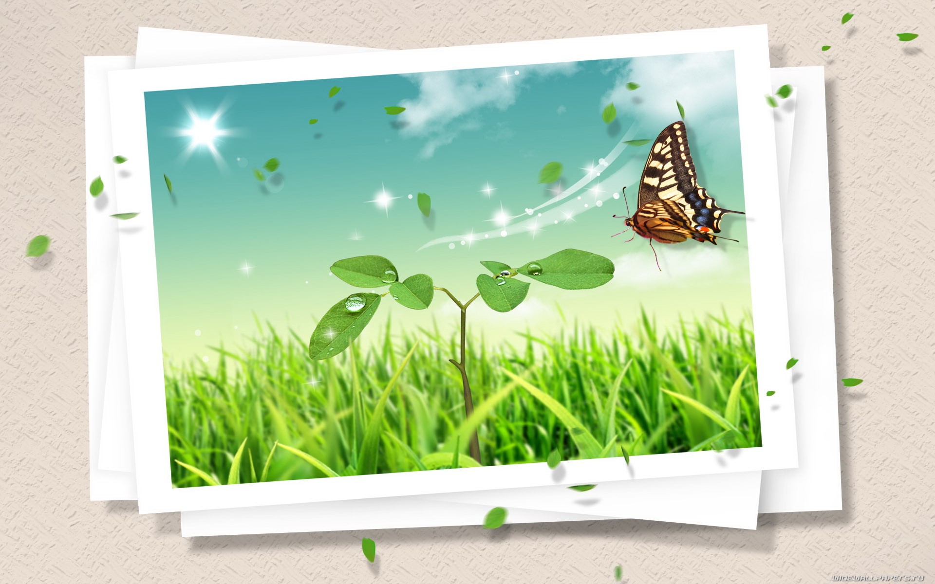 General 1920x1200 insect butterfly digital art animals plants
