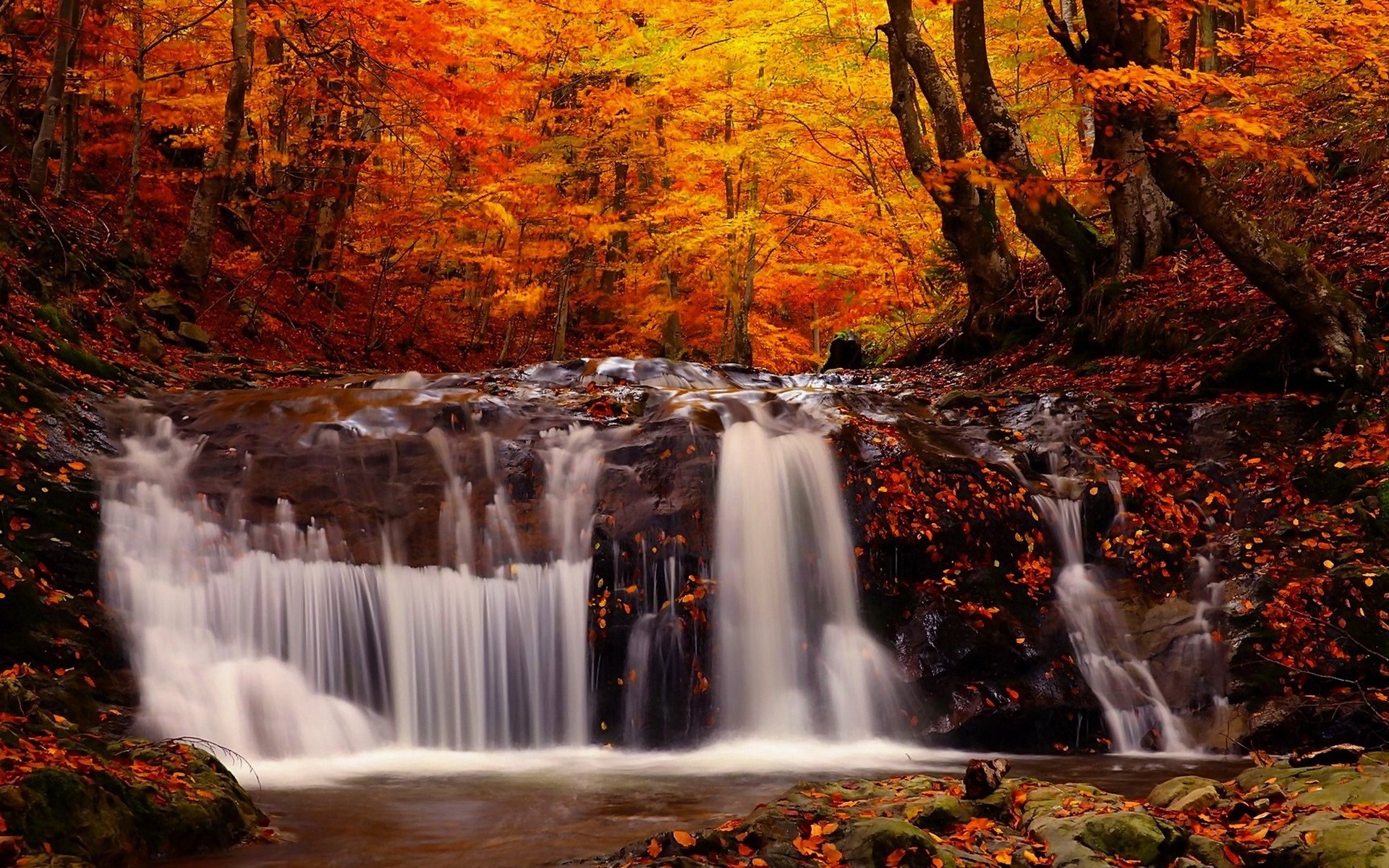 General 1920x1200 landscape fall forest river waterfall trees nature