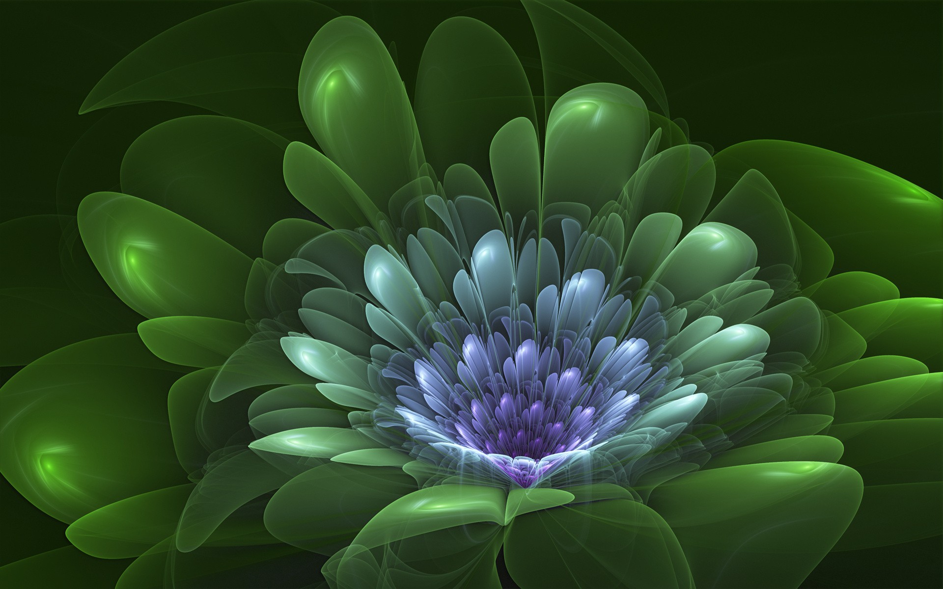 General 1920x1200 fractal flowers fractal flowers plants digital art CGI