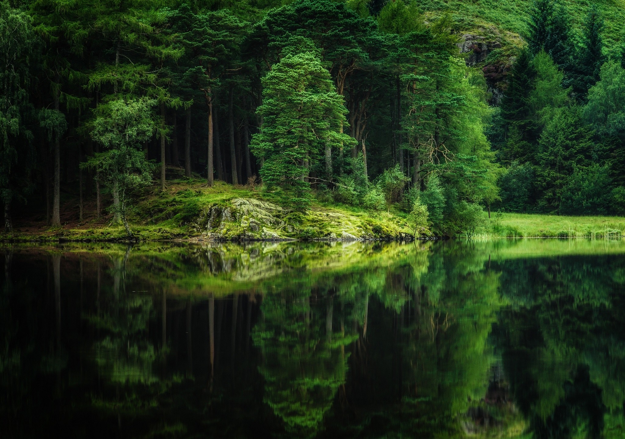 General 2048x1440 trees lake nature reflection outdoors water