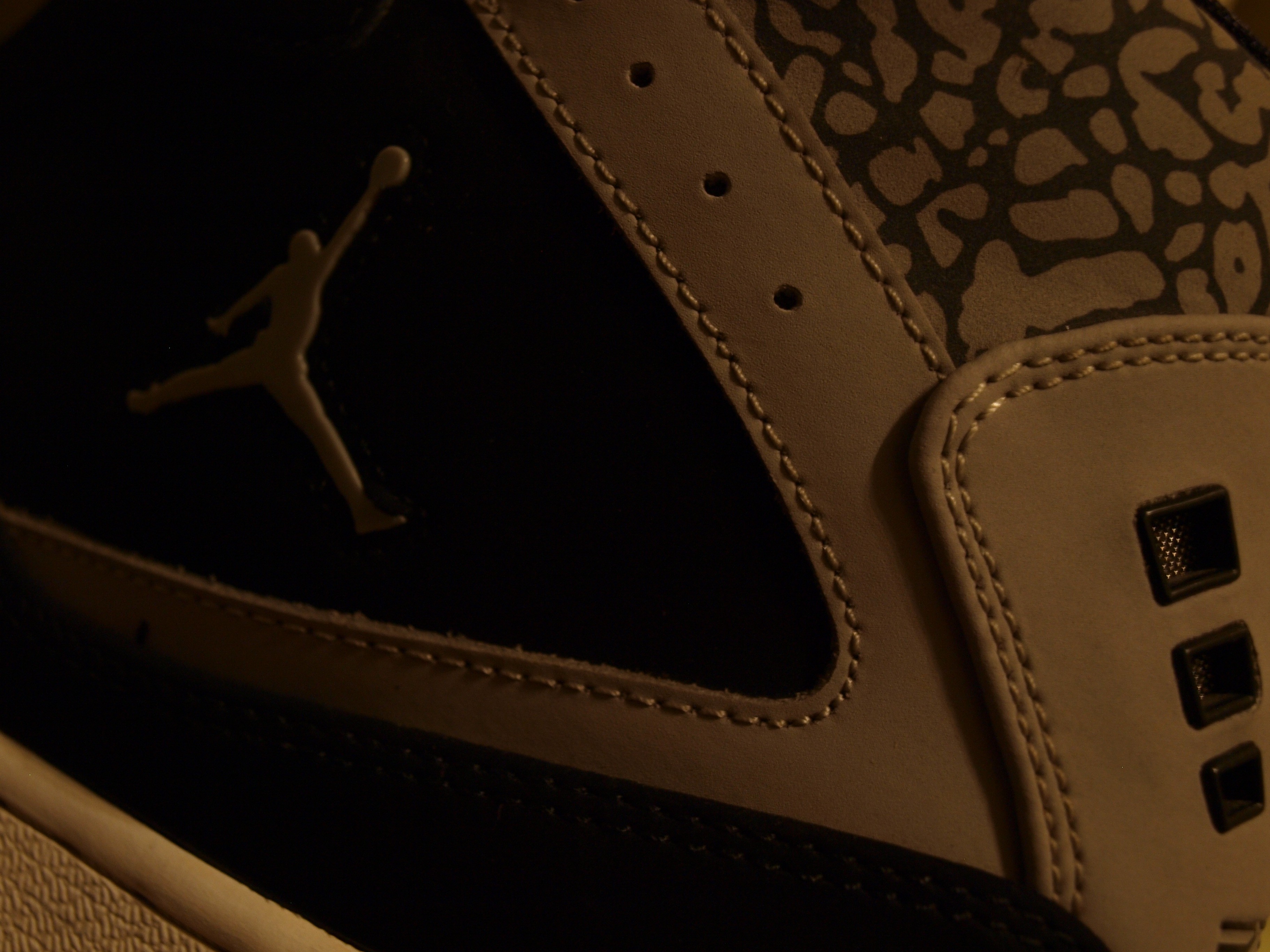 General 3648x2736 Air Jordan shoes macro brand