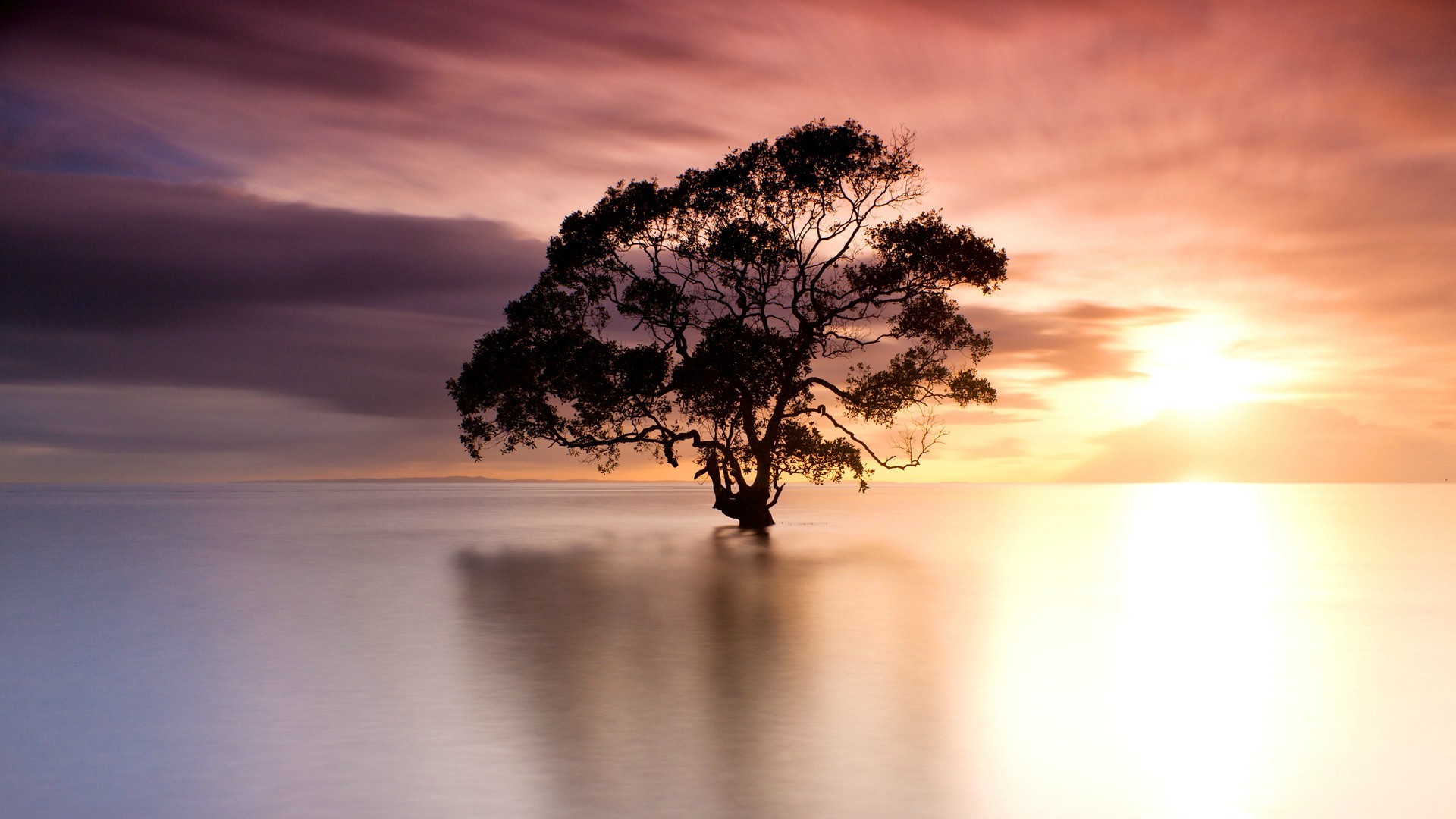 General 1920x1080 photography nature trees water sky sunset silhouette