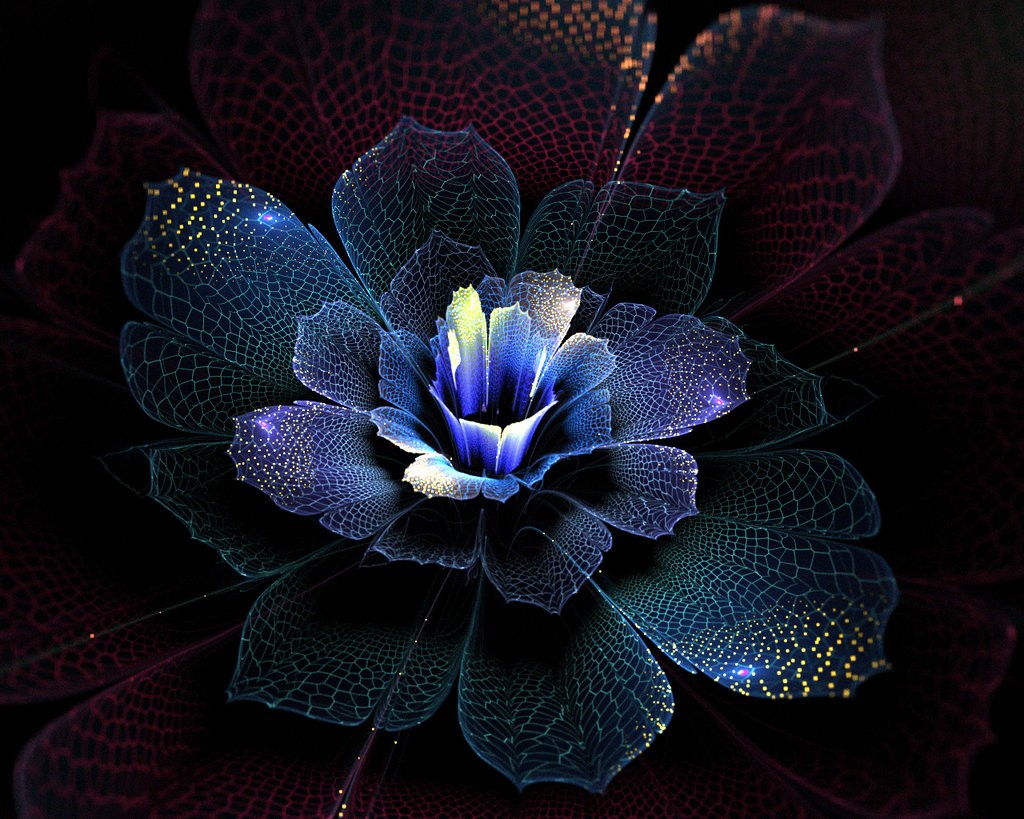General 1024x819 abstract fractal fractal flowers plants flowers digital art