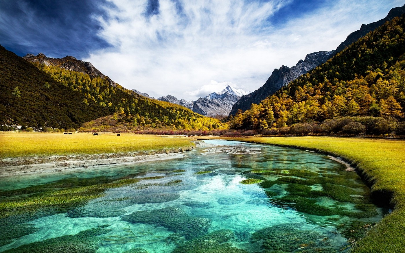 General 1400x875 landscape nature fall river turquoise water mountains Tibet grass forest snowy peak trees clouds Asia