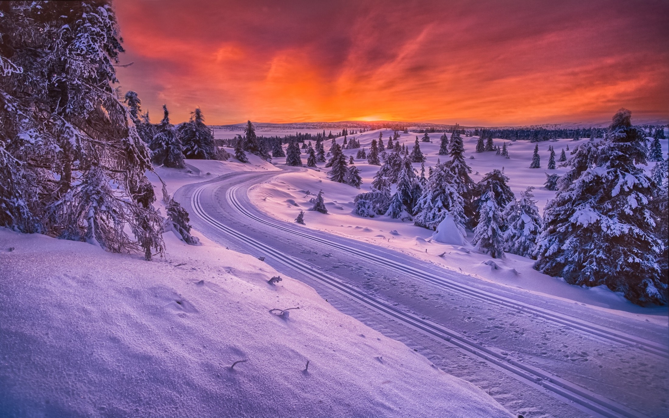 General 2200x1375 landscape Norway forest road snow sky trees winter cold white orange orange sky nordic landscapes