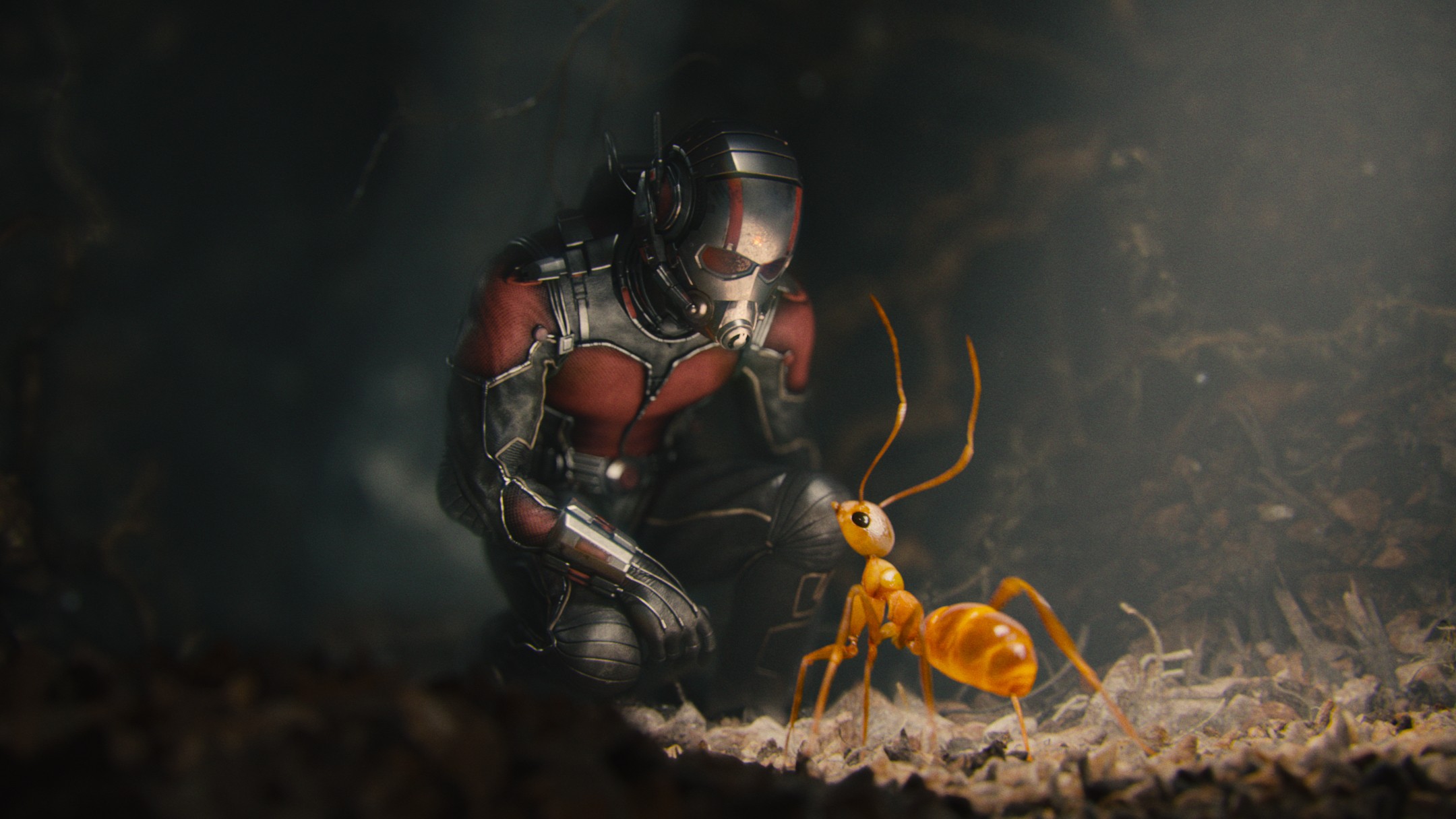 General 2160x1216 Ant-Man movies Marvel Cinematic Universe digital art ants squatting superhero insect