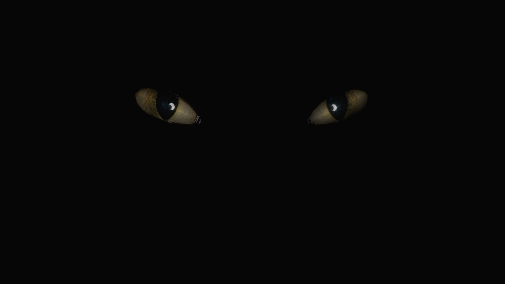 General 1920x1080 Toothless eyes minimalism digital art animal eyes simple background black background animals