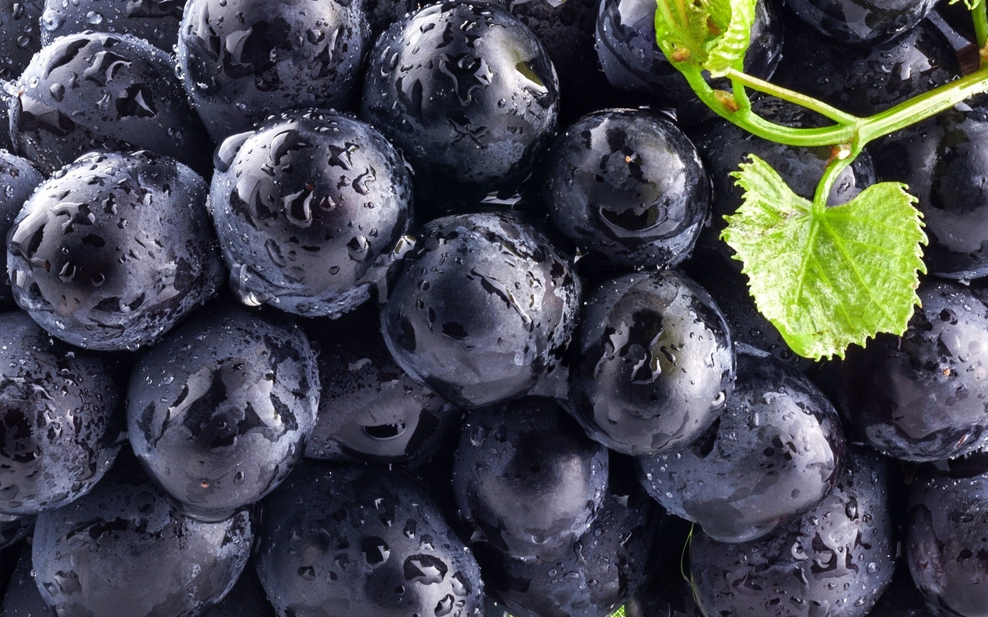 General 1920x1200 food macro fruit water drops berries blueberries