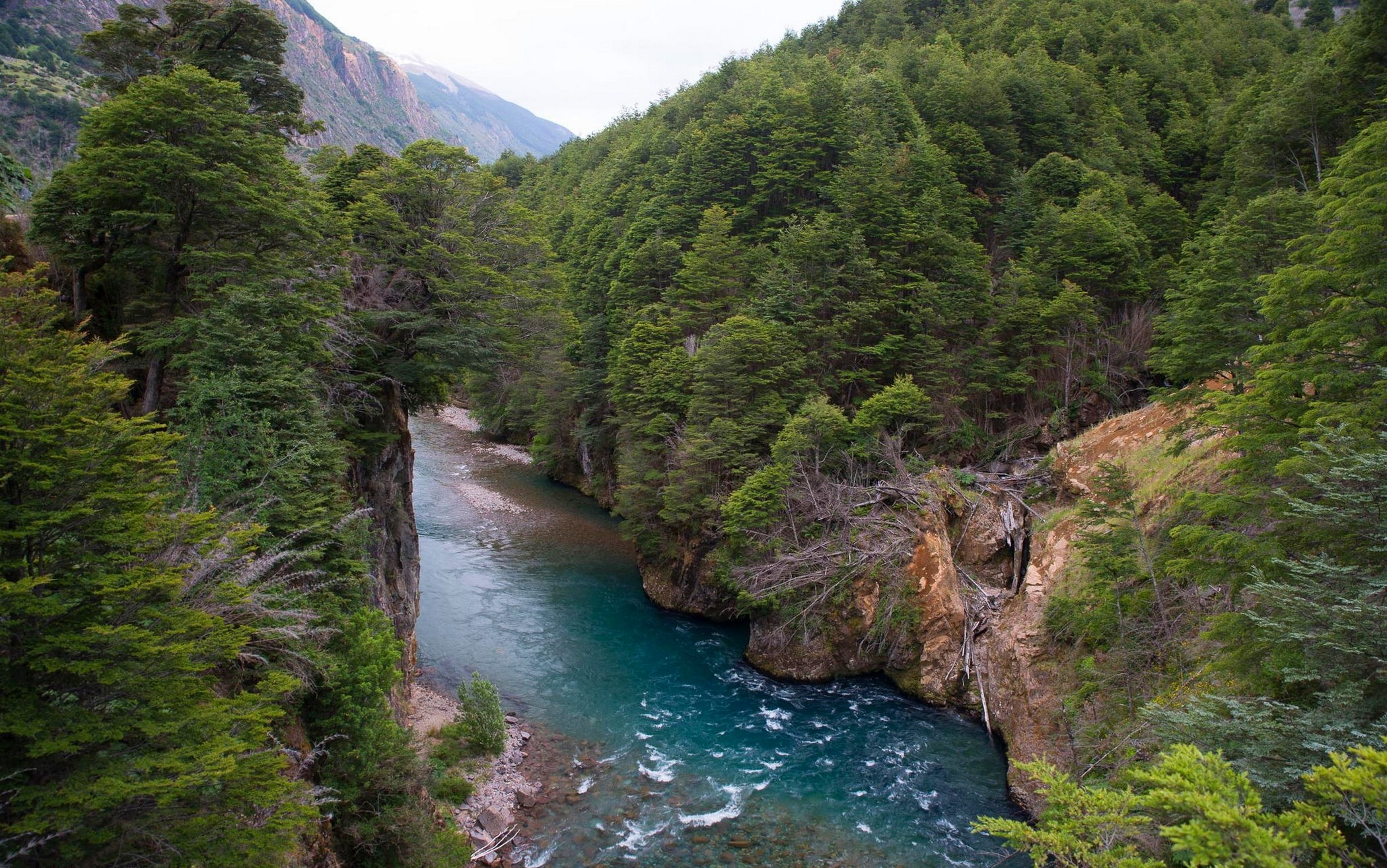 General 2100x1315 nature landscape mountains forest river Chile trees green water turquoise South America