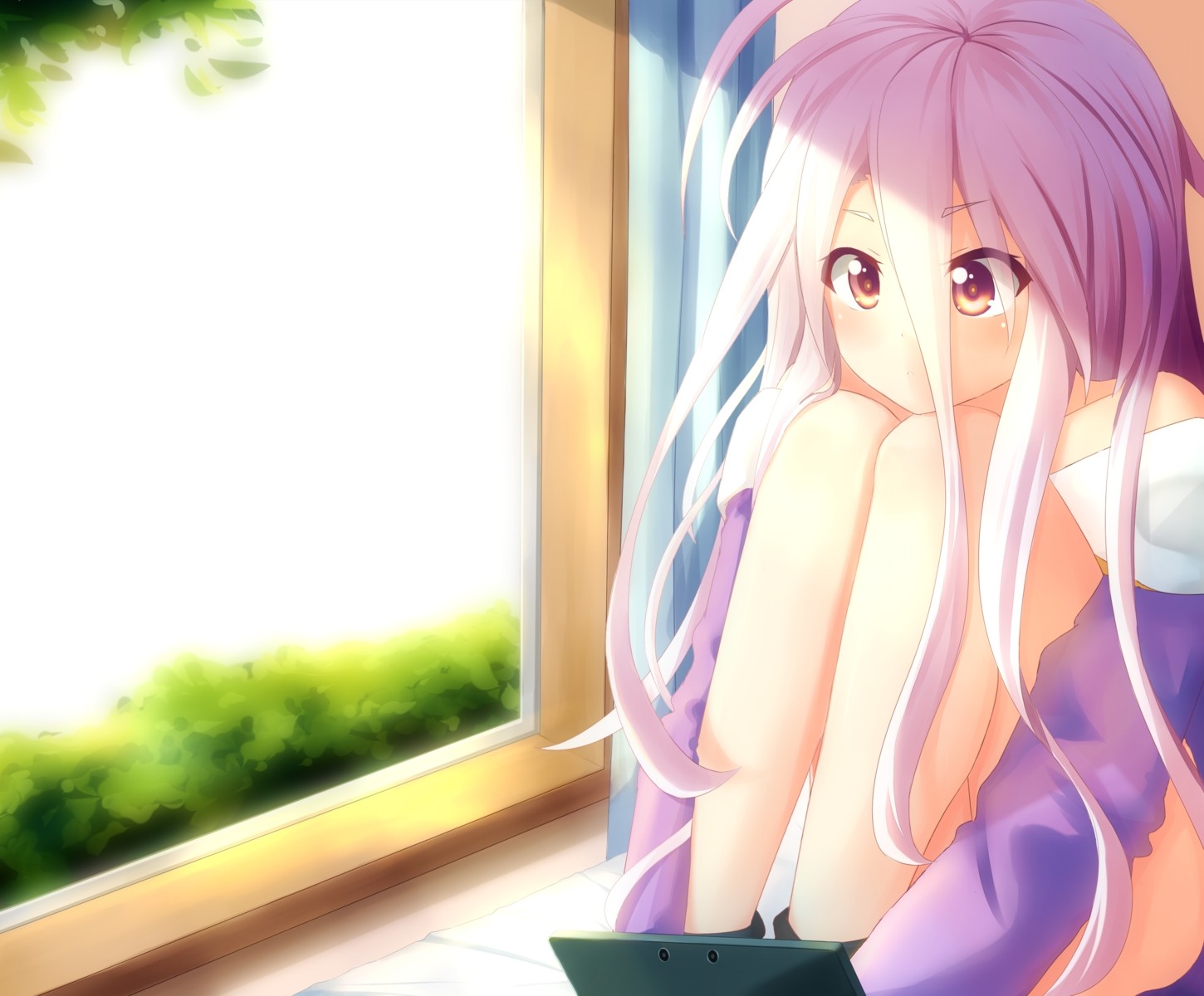 Anime 1450x1200 anime girls anime pink hair indoors eyes No Game No Life Shiro (No Game No Life) women indoors hair in face window