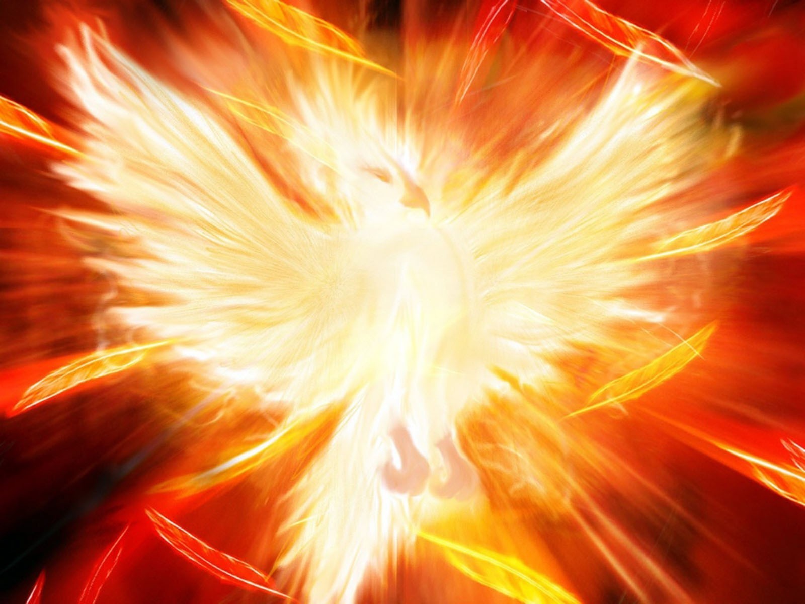 General 1600x1200 birds fire phoenix fantasy art artwork Flame Painter