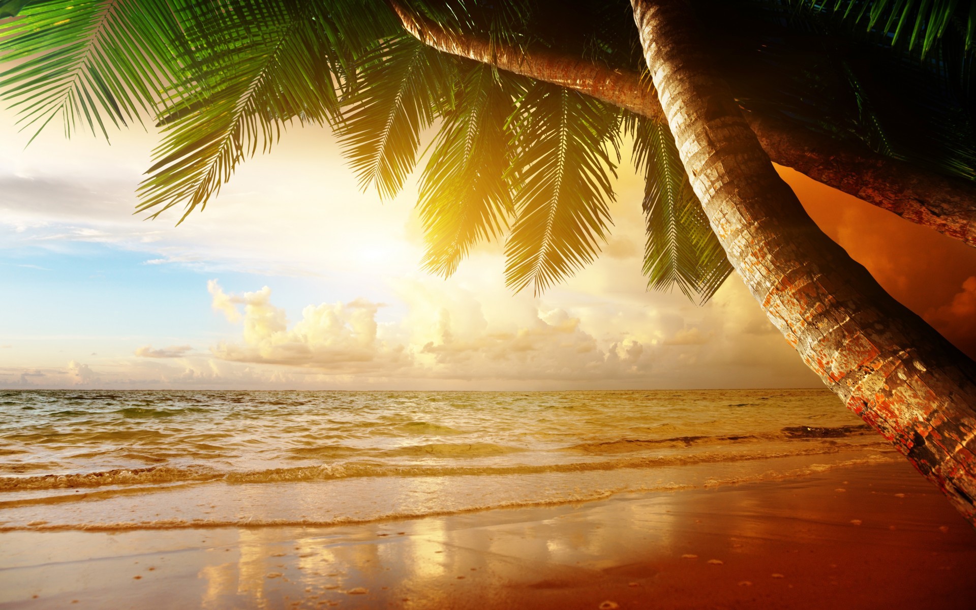 General 1920x1200 beach sand palm trees tropical sunlight sky clouds horizon