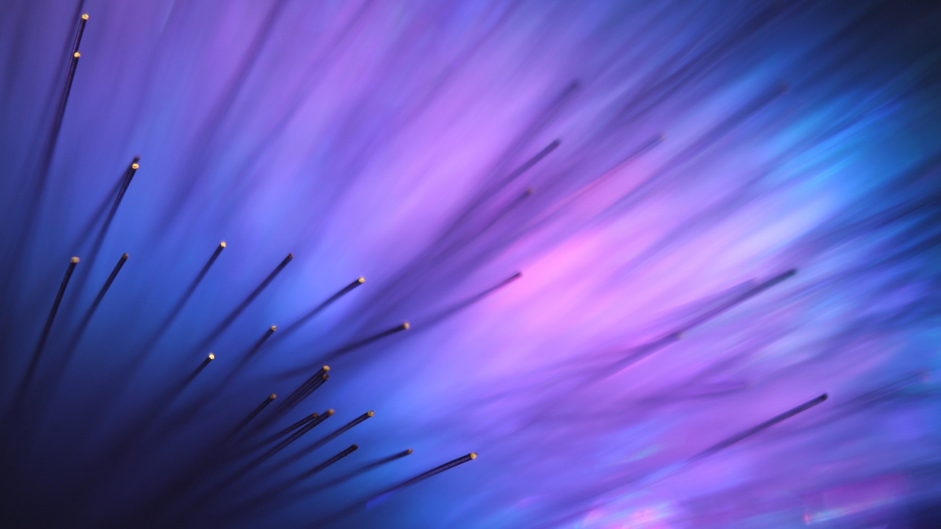 General 1920x1080 abstract Optic fiber macro digital art lines CGI depth of field purple blue violet