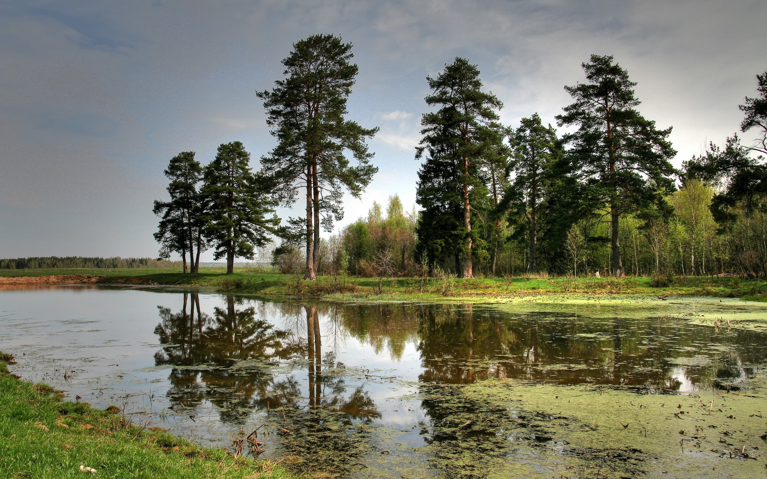General 2560x1600 landscape trees water reflection nature