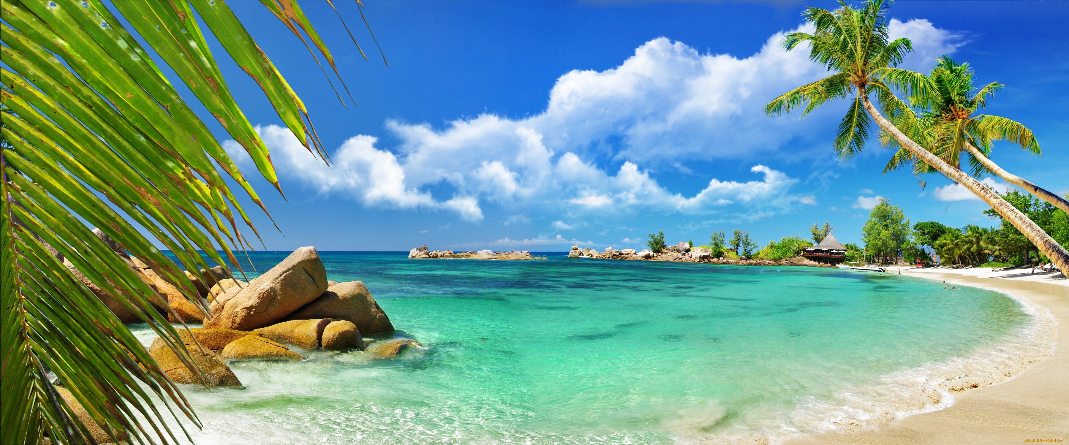 General 3600x1499 landscape palm trees beach water sky tropical