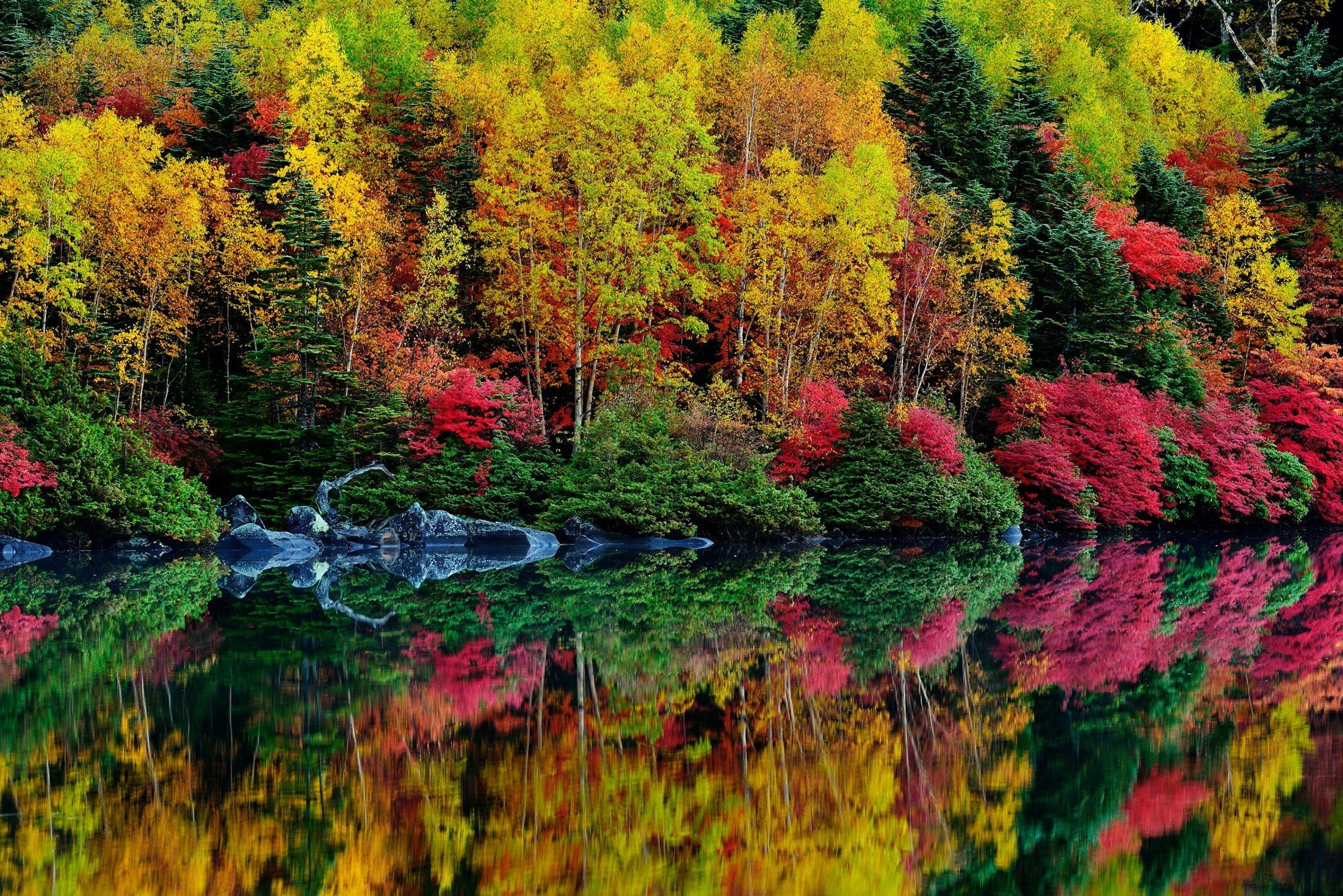 General 2200x1468 lake fall forest reflection red leaves nature trees