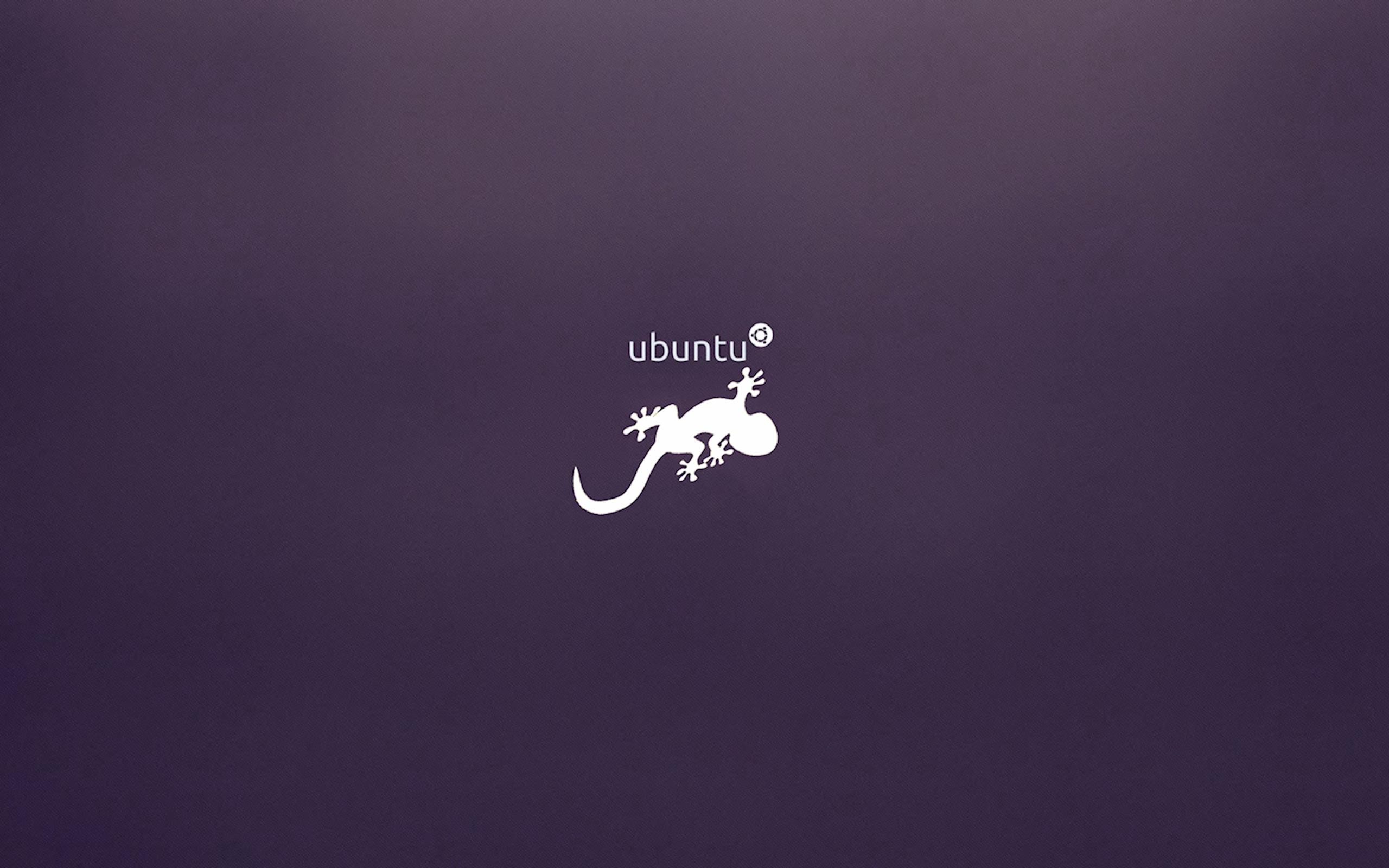 General 2560x1600 Ubuntu logo purple background operating system