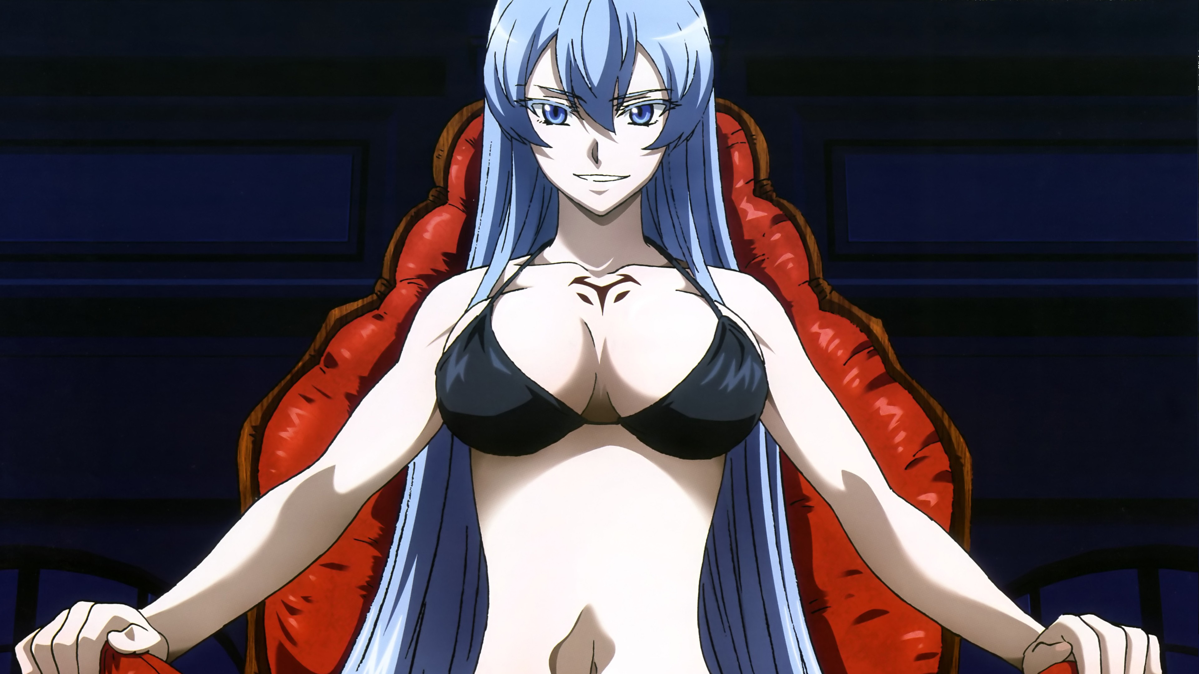 Anime 3840x2160 Esdeath (Akame Ga Kill!) Akame ga Kill! bikini