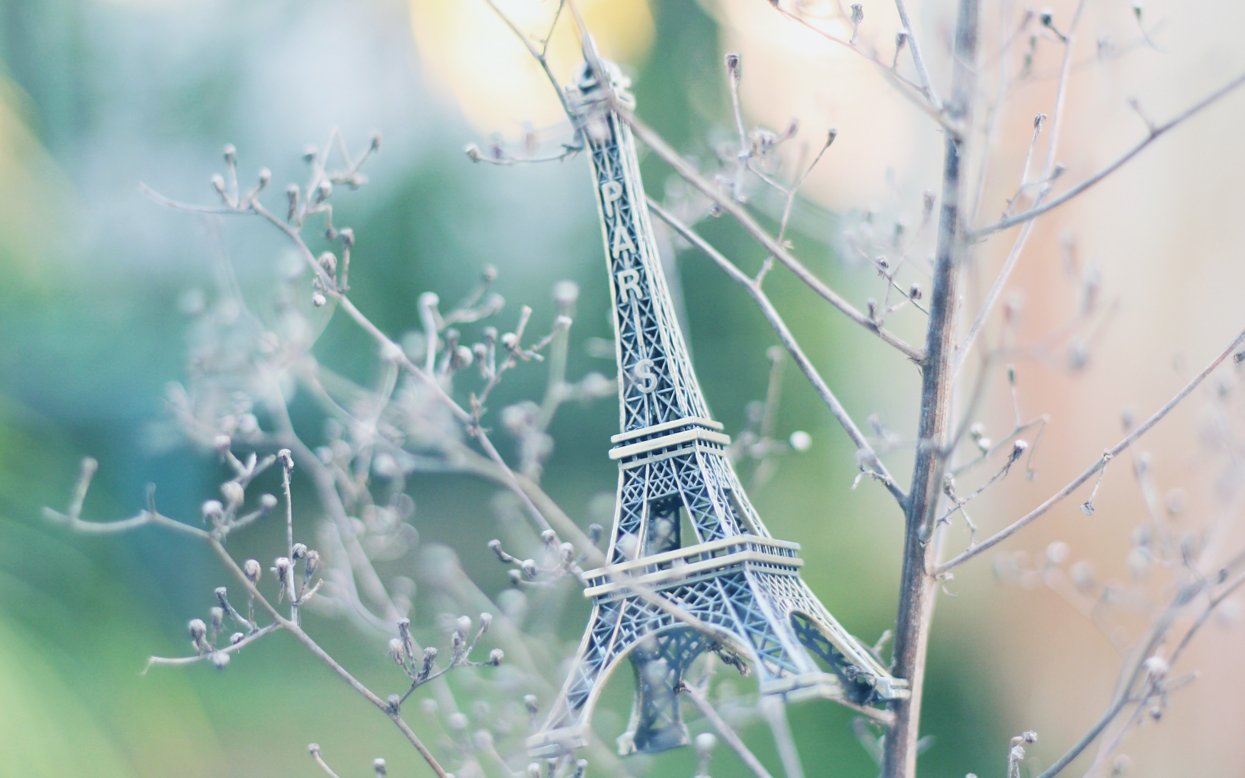 General 2560x1600 twigs plants Eiffel Tower digital art closeup
