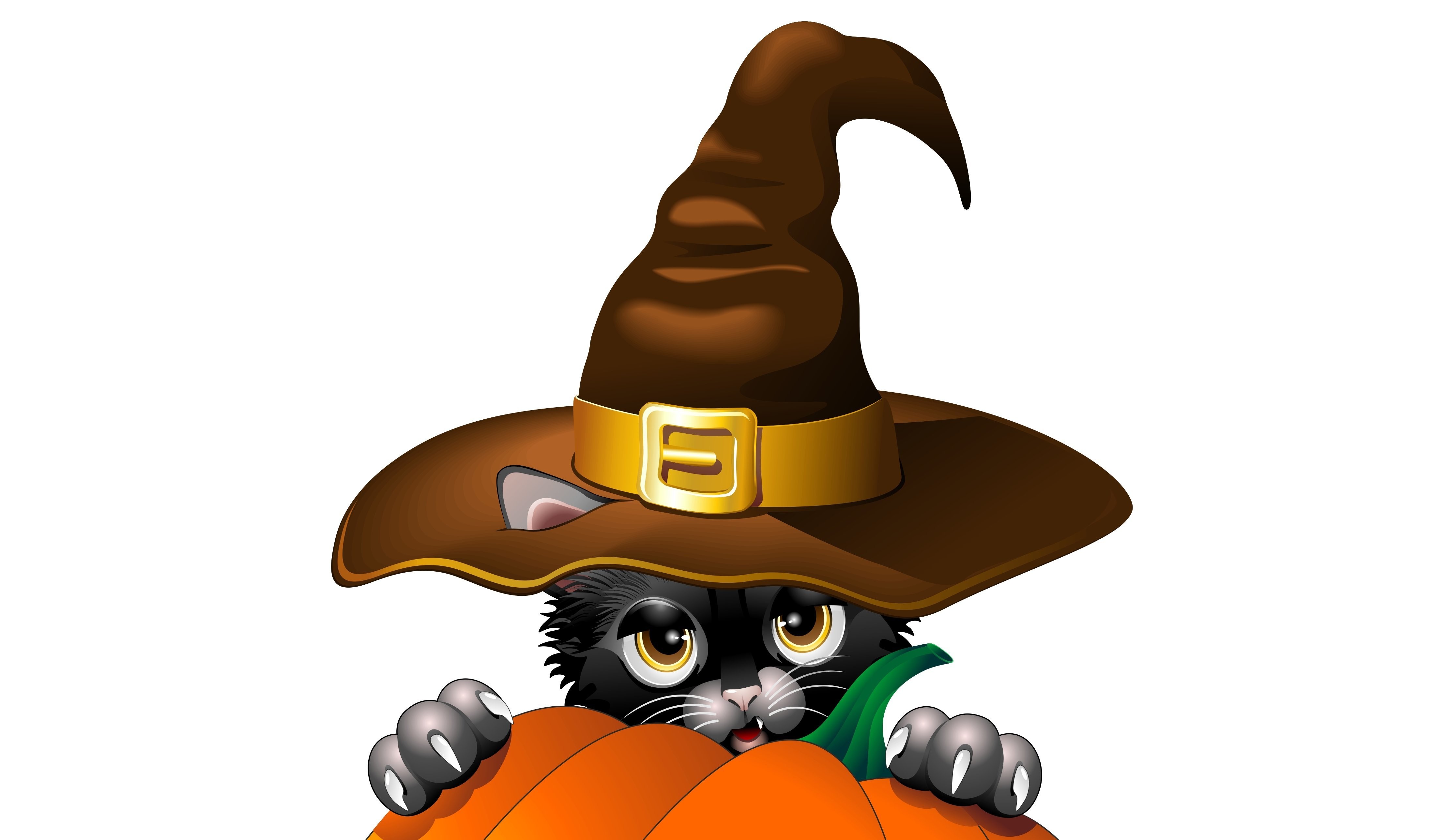 General 4439x2576 fantasy art witch hat yellow eyes white background simple background
