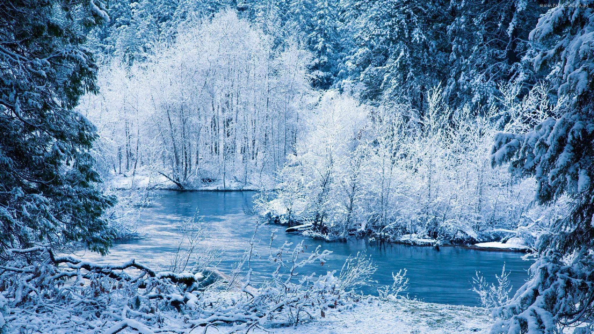 General 2048x1152 nature river winter cold ice frost snow trees