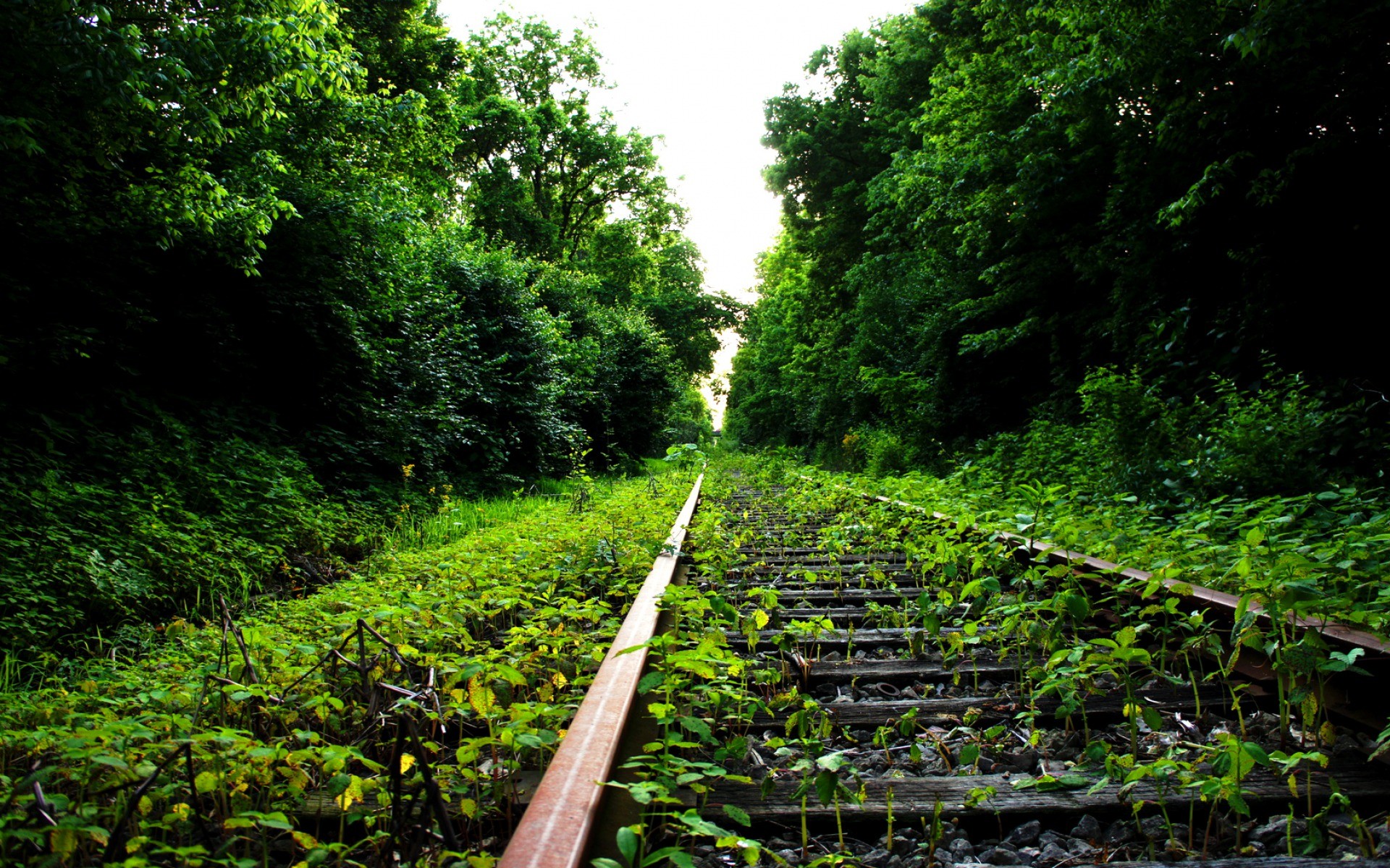 General 1920x1200 nature railway abandoned plants outdoors