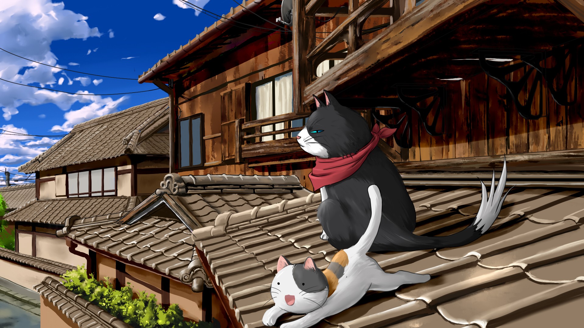 Anime 1920x1080 cats anime house animals