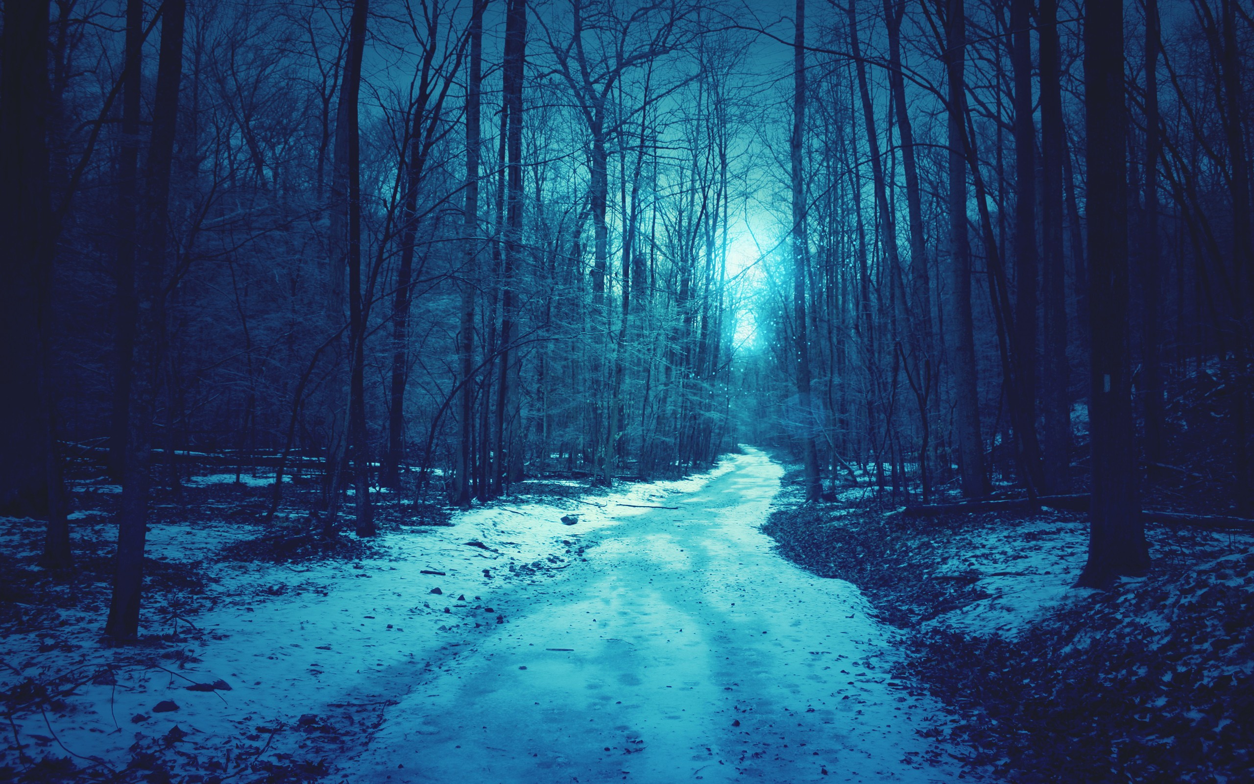 General 2560x1600 nature forest snow path trees dirt road blue night spooky