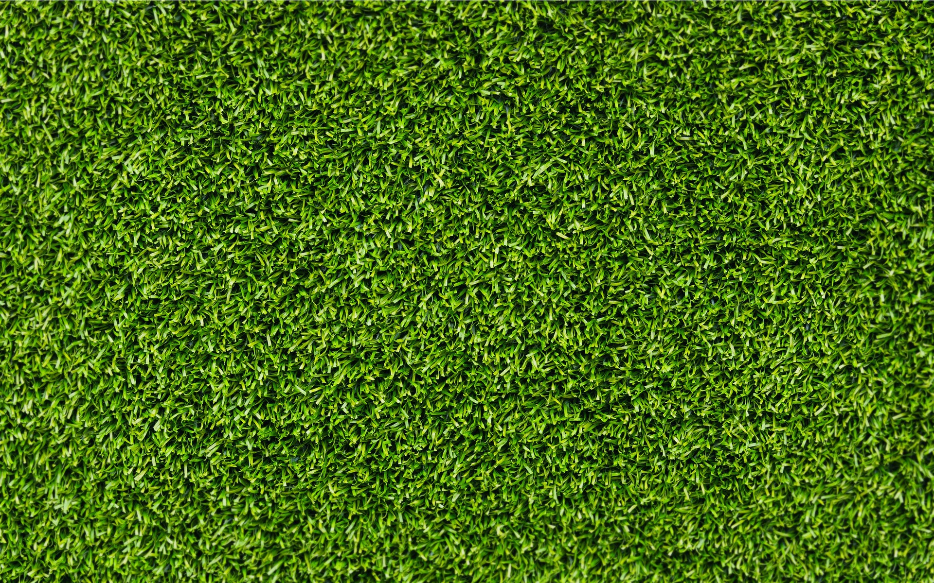 General 1920x1200 grass texture green