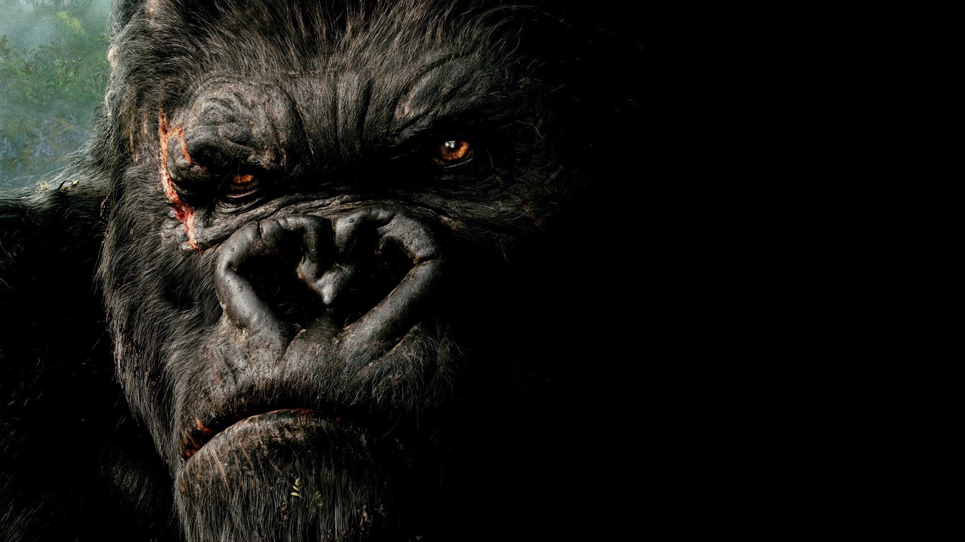 General 1920x1080 movies King Kong creature 2005 (Year) closeup digital art
