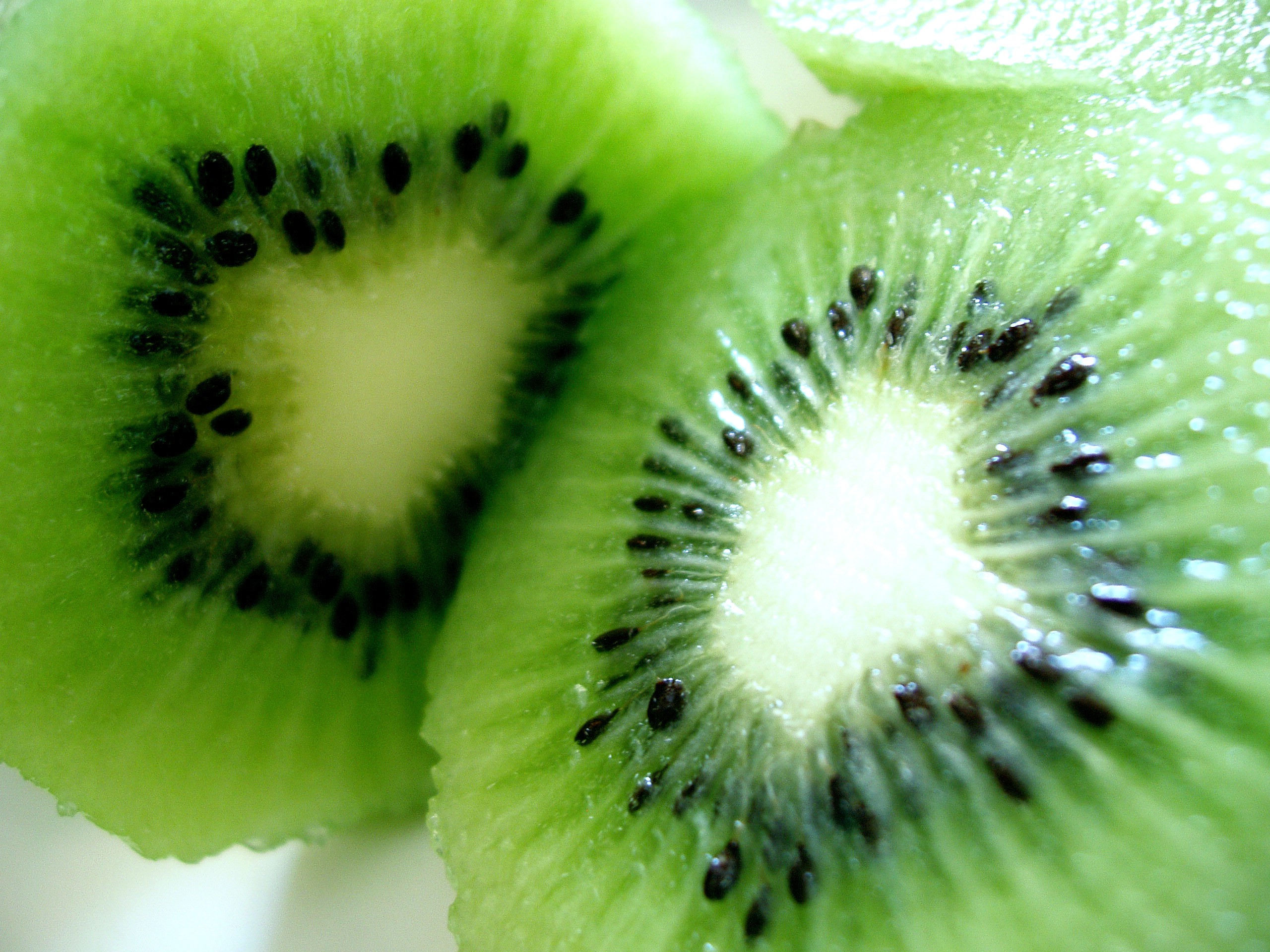 General 2560x1920 photography kiwi (fruit) fruit food green macro