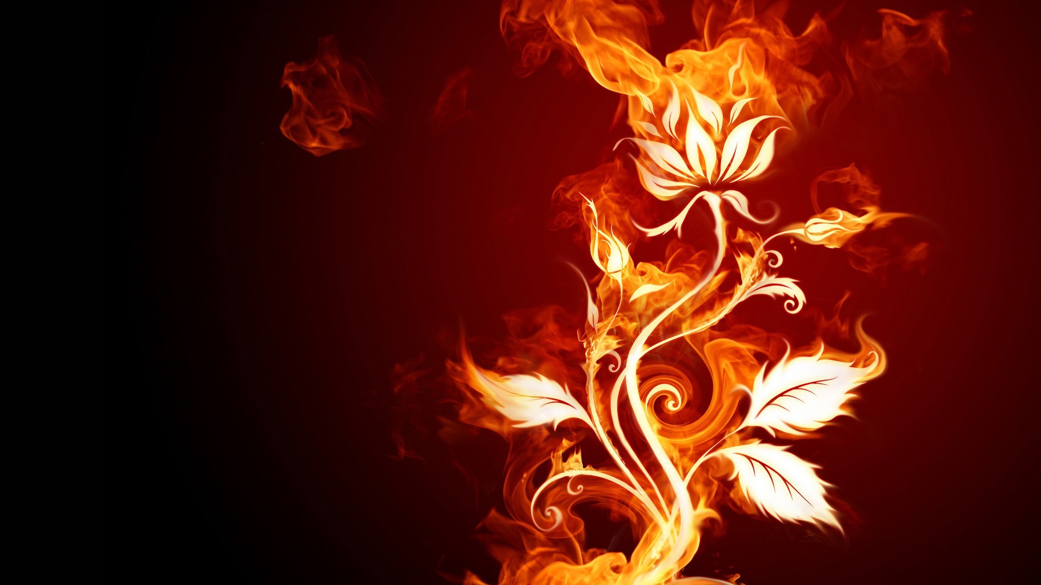 General 2134x1200 flowers fire digital art plants burning Flame Painter