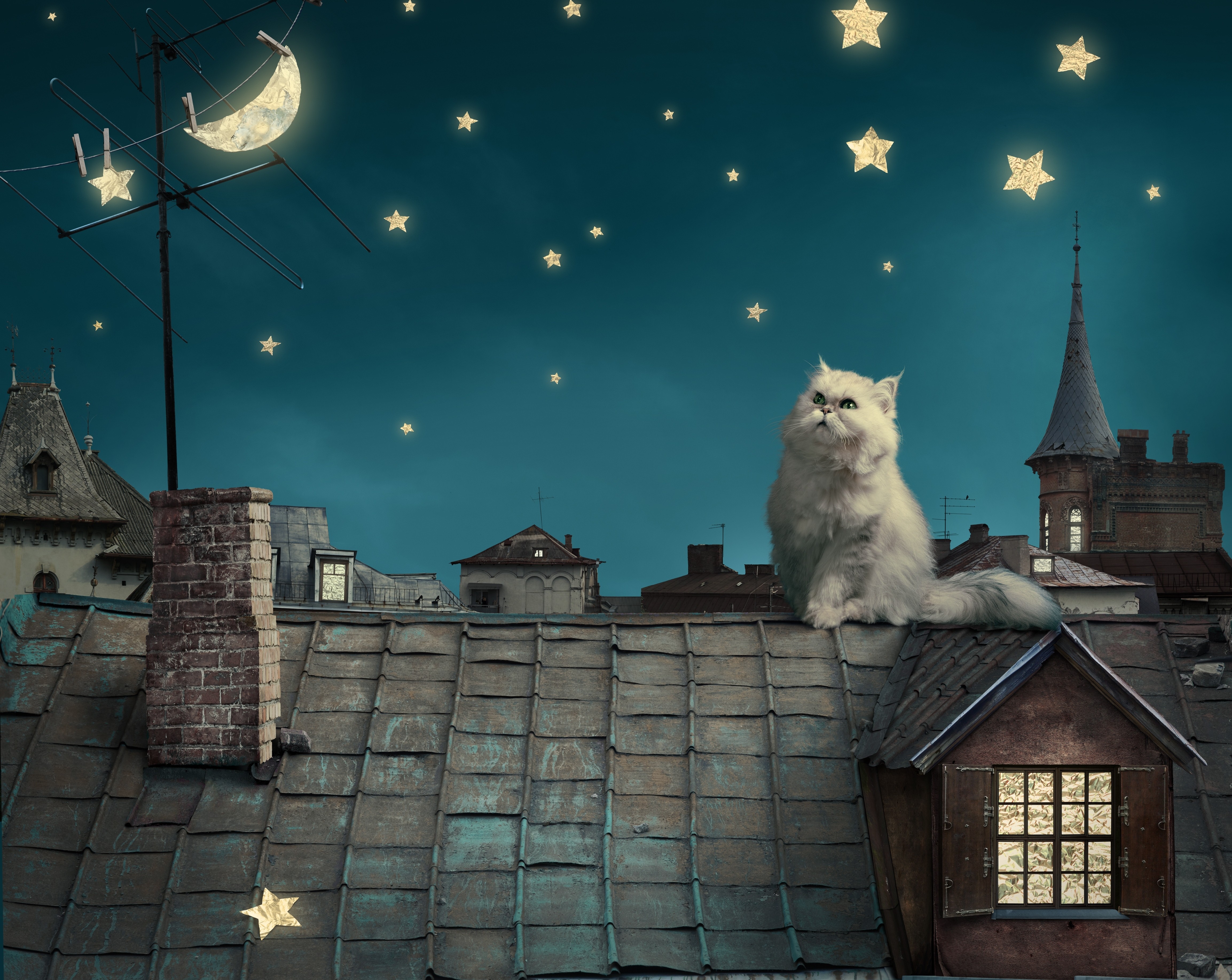 General 4614x3671 animals cats stars Moon crescent moon house rooftops digital art persian cat mammals sky