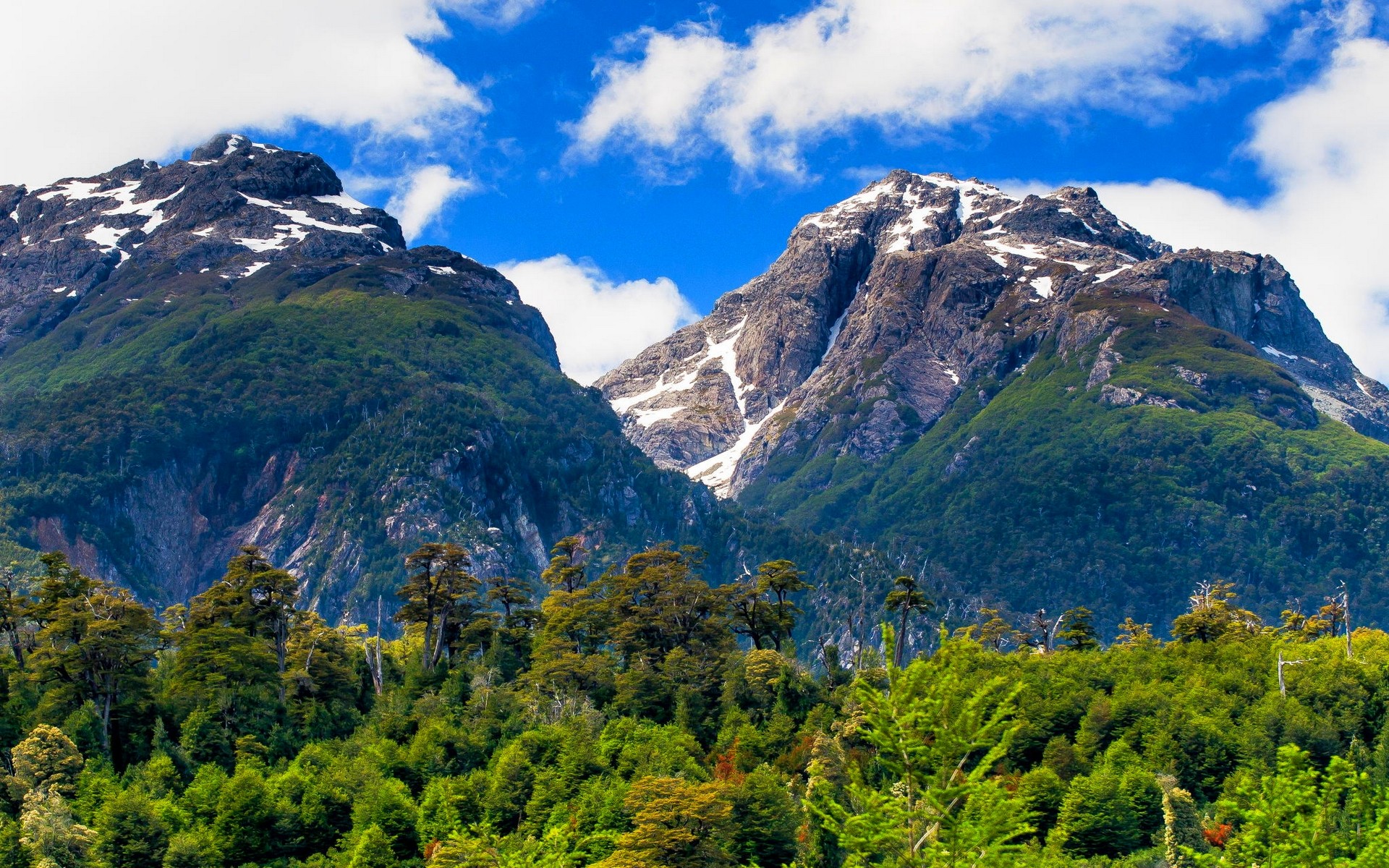 General 1920x1200 landscape nature Chile summer mountains forest clouds Patagonia snowy peak trees green South America