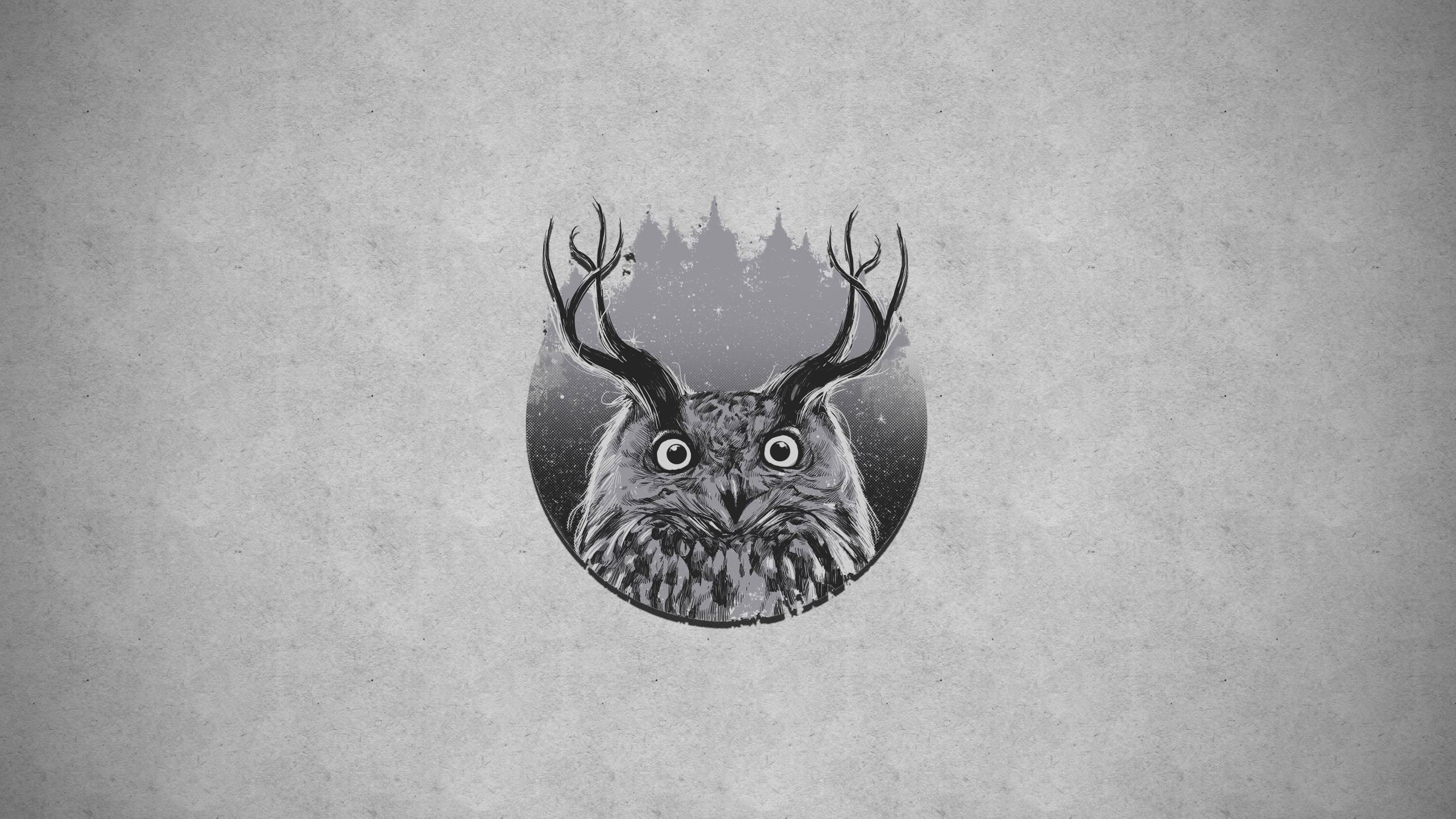 General 2560x1440 artwork owl antlers gray gray background