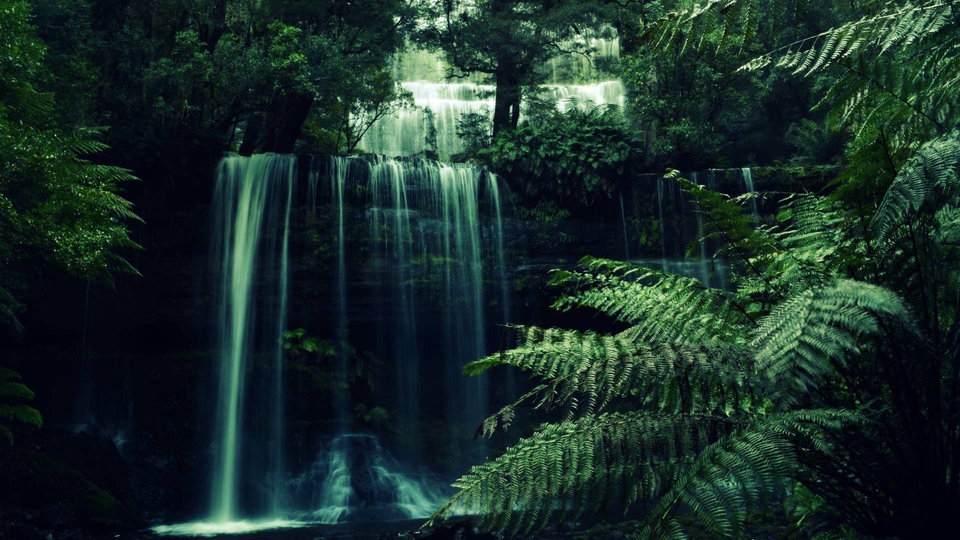 General 1920x1080 waterfall nature water trees green warrior