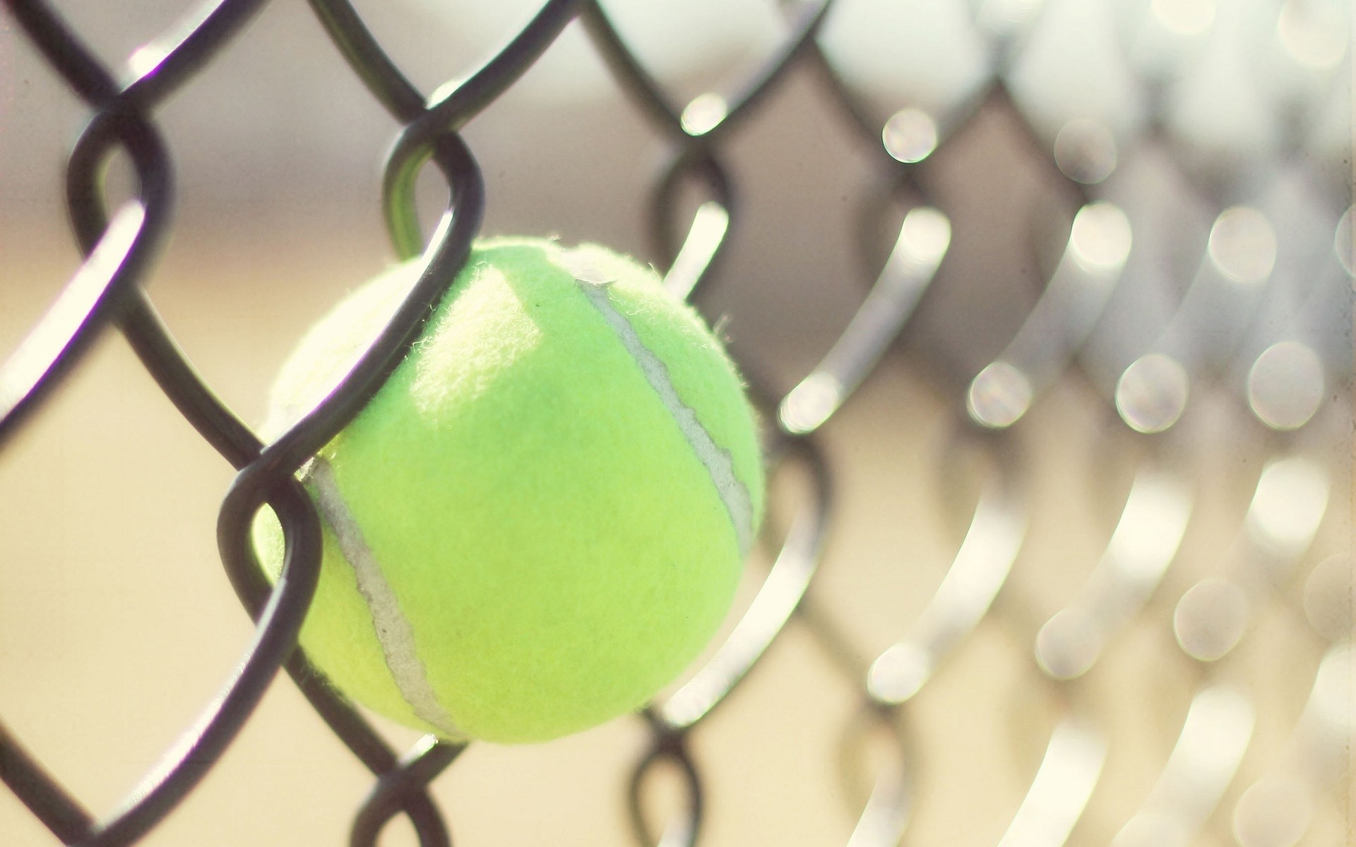 General 1920x1200 sport tennis ball tennis balls fence depth of field sunlight metal grid closeup