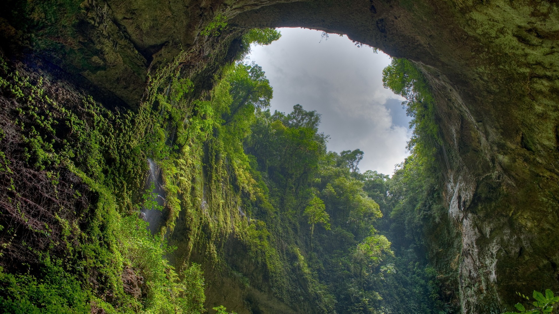 General 1920x1080 landscape nature cave trees Puerto Rico