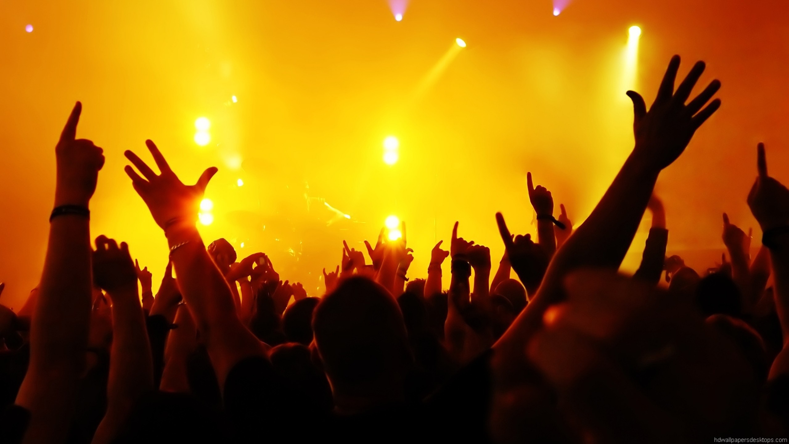 General 2560x1440 concerts music crowds arms up lights
