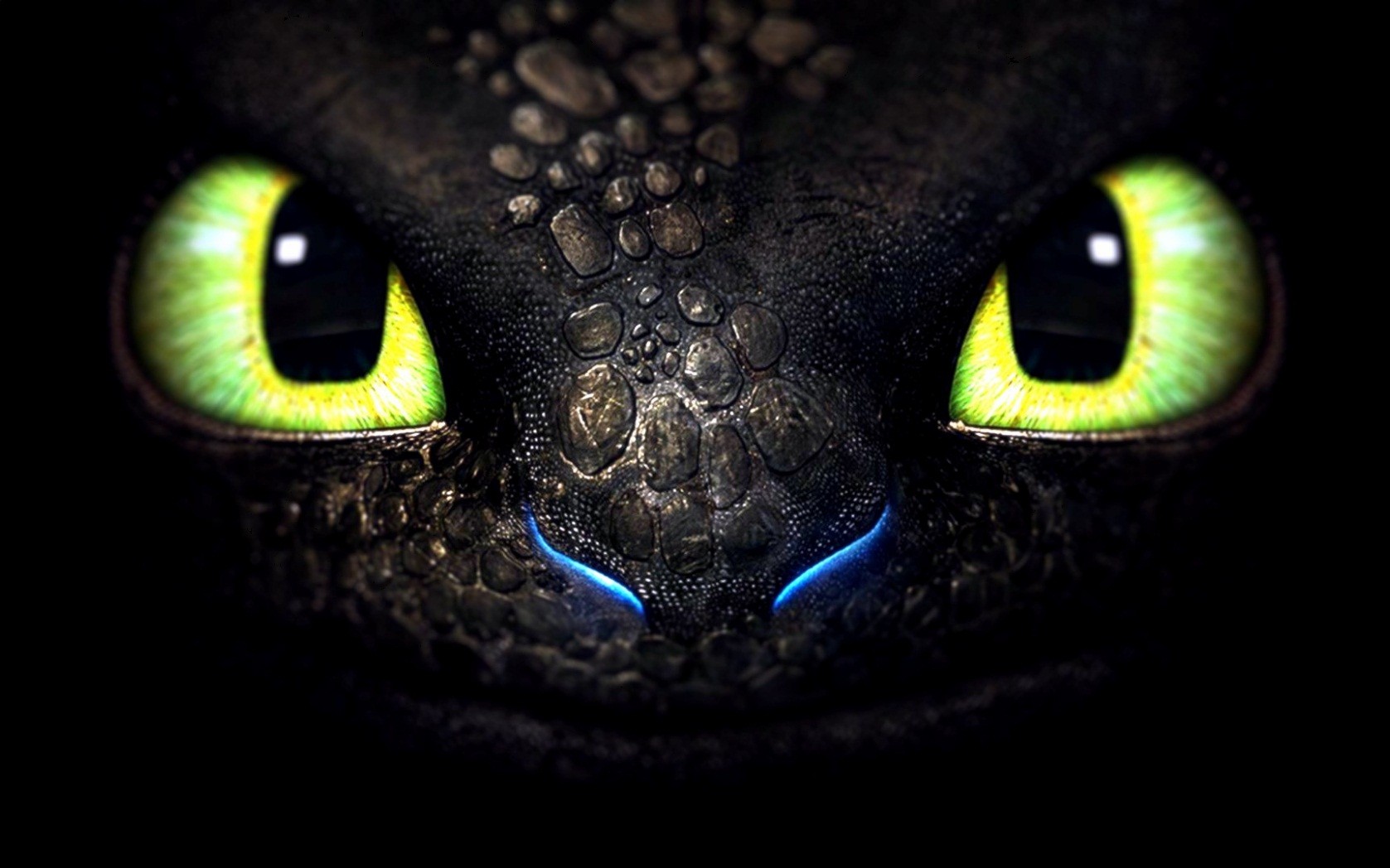 General 1677x1048 How to Train Your Dragon Toothless dragon movies animated movies animal eyes green eyes