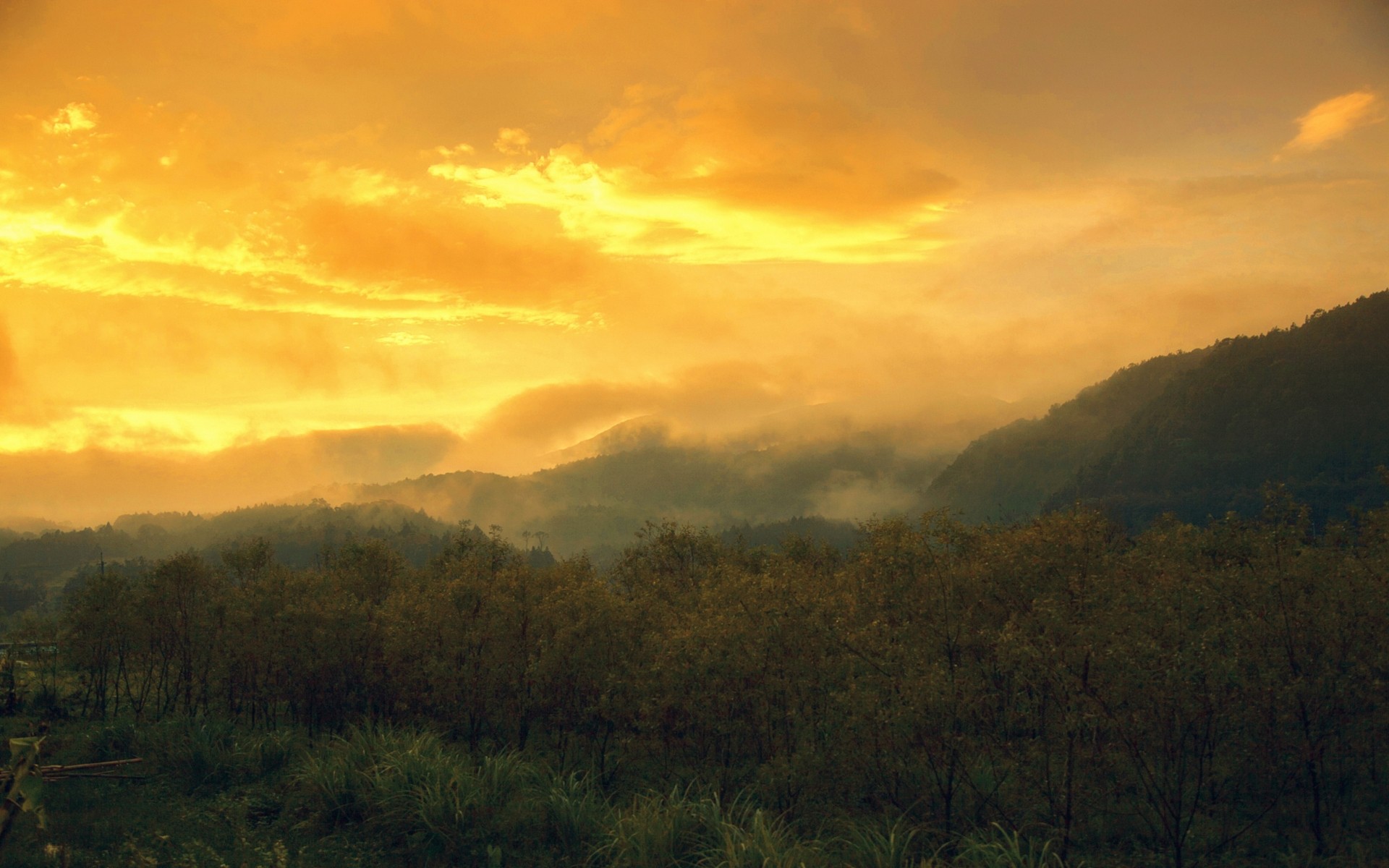 General 1920x1200 nature landscape sunset mountains clouds trees sky yellow mist orange sky