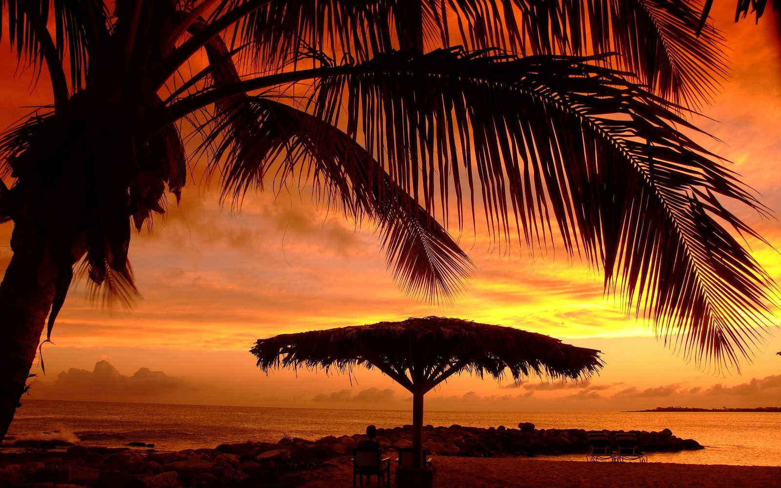 General 1600x1000 nature sunset umbrella beach palm trees sea clouds sky orange sky sunlight beach umbrella