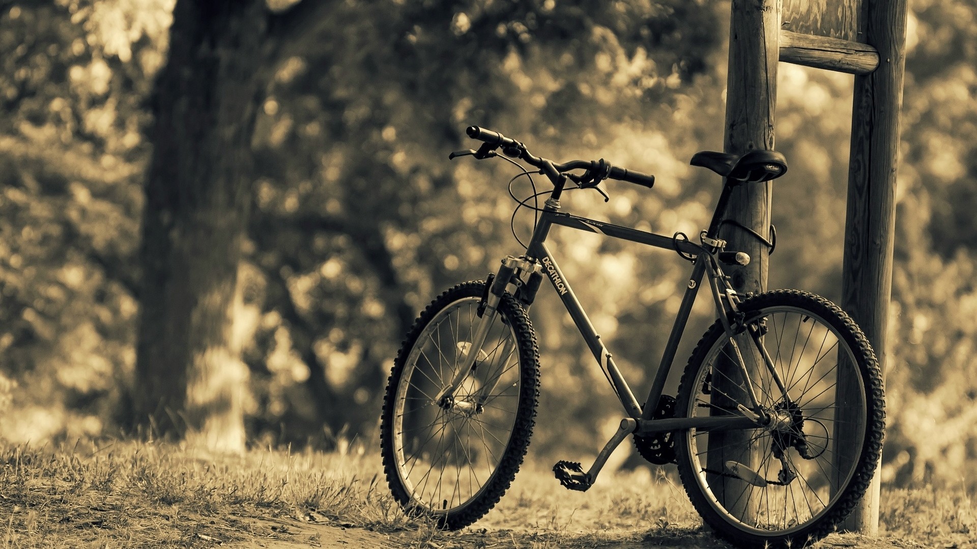 General 1920x1080 bicycle sepia vehicle outdoors